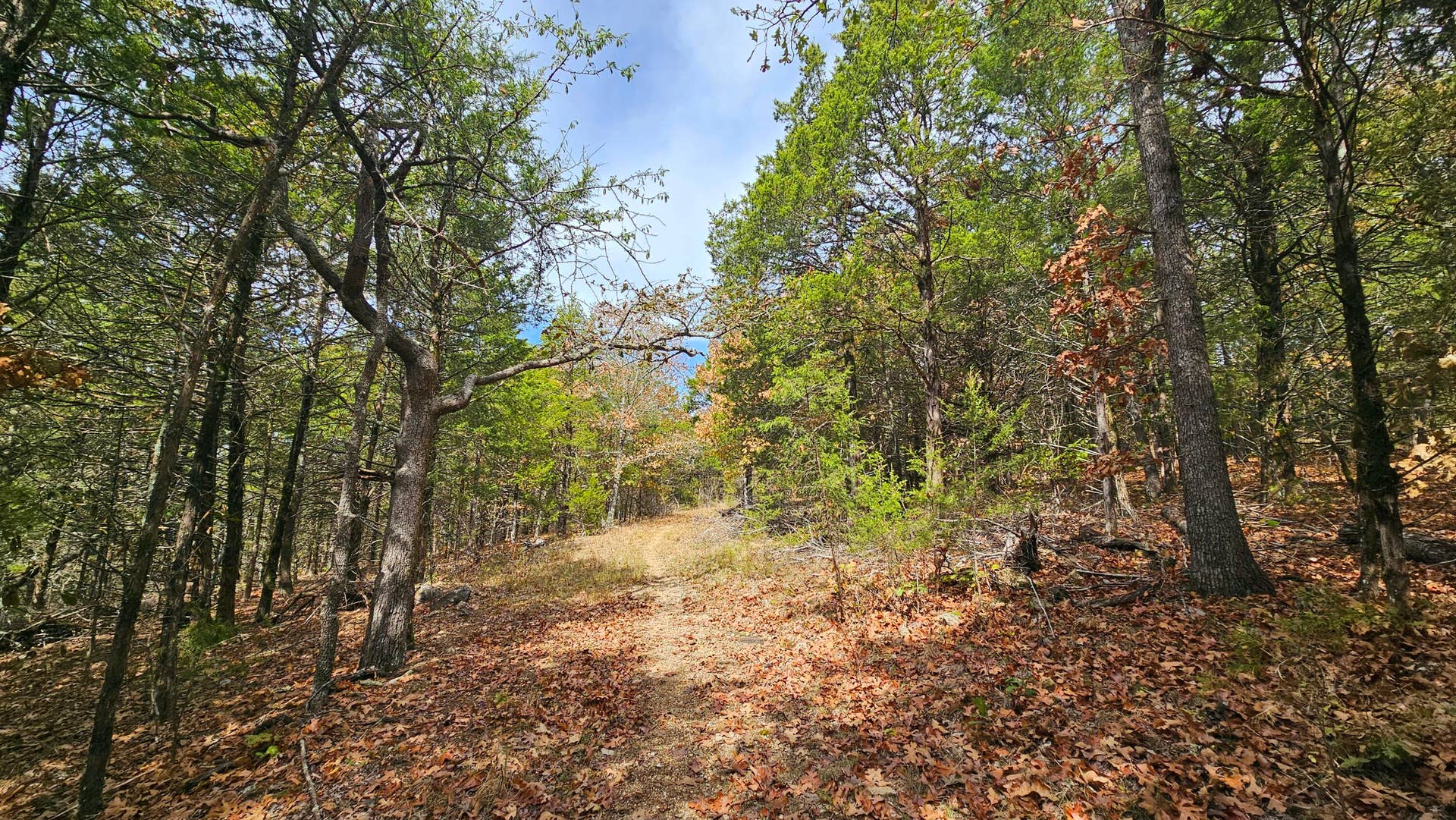 30349 County Road V-234, Drury, MO 65638 50