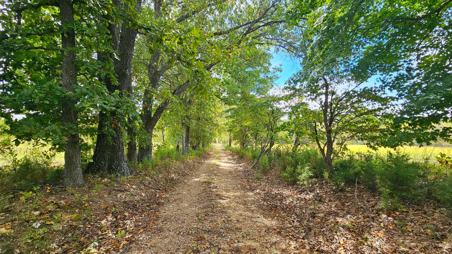30349 County Road V-234, Drury, MO 65638 Lane