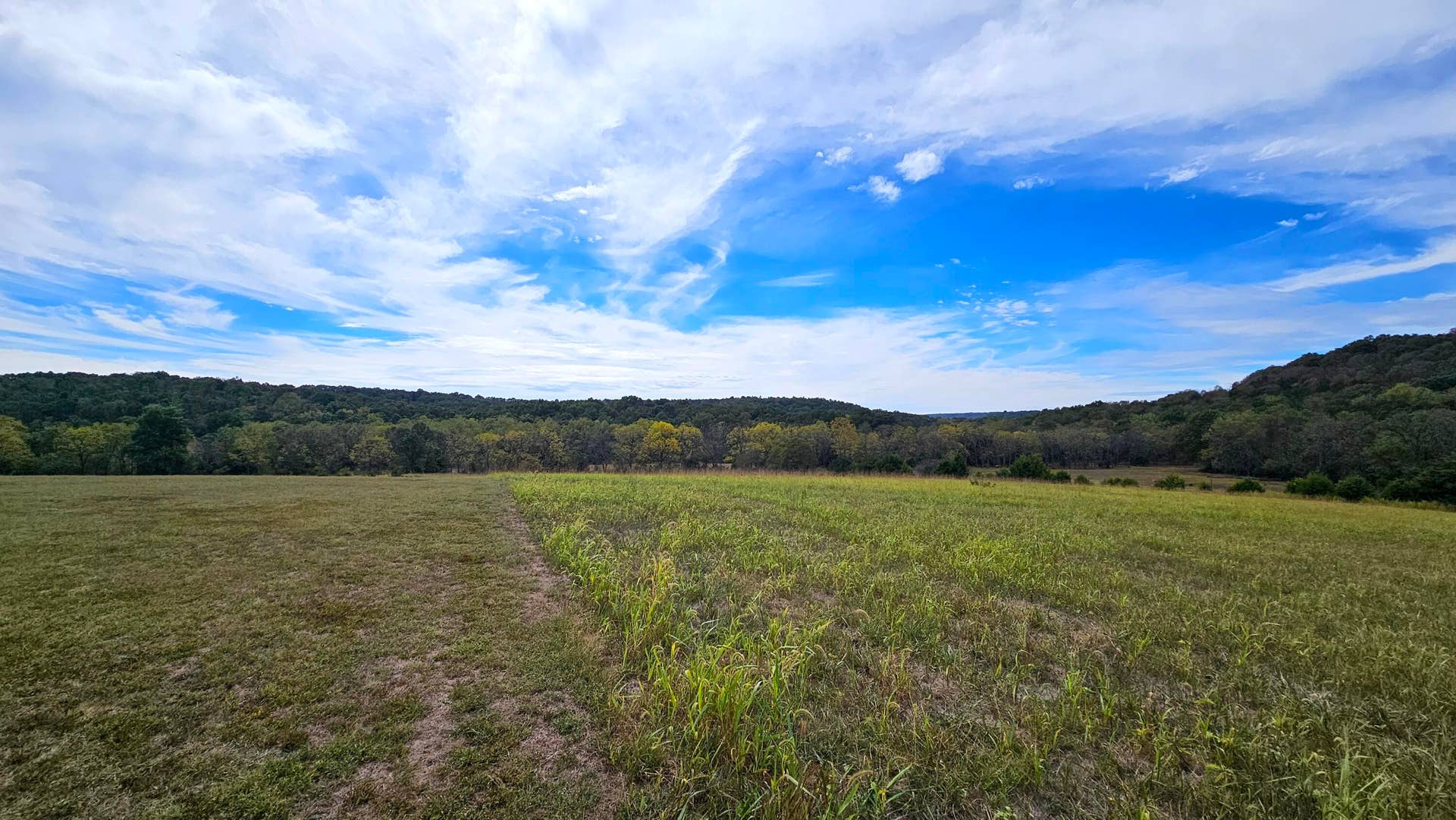 30349 County Road V-234, Drury, MO 65638 51