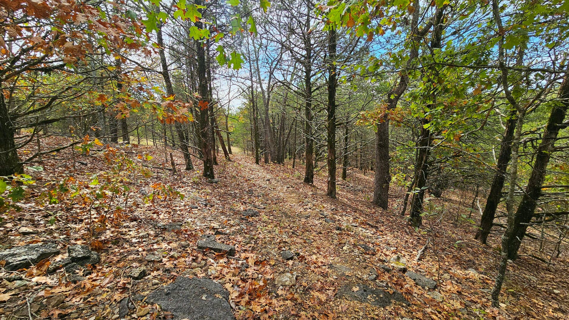 30349 County Road V-234, Drury, MO 65638 52