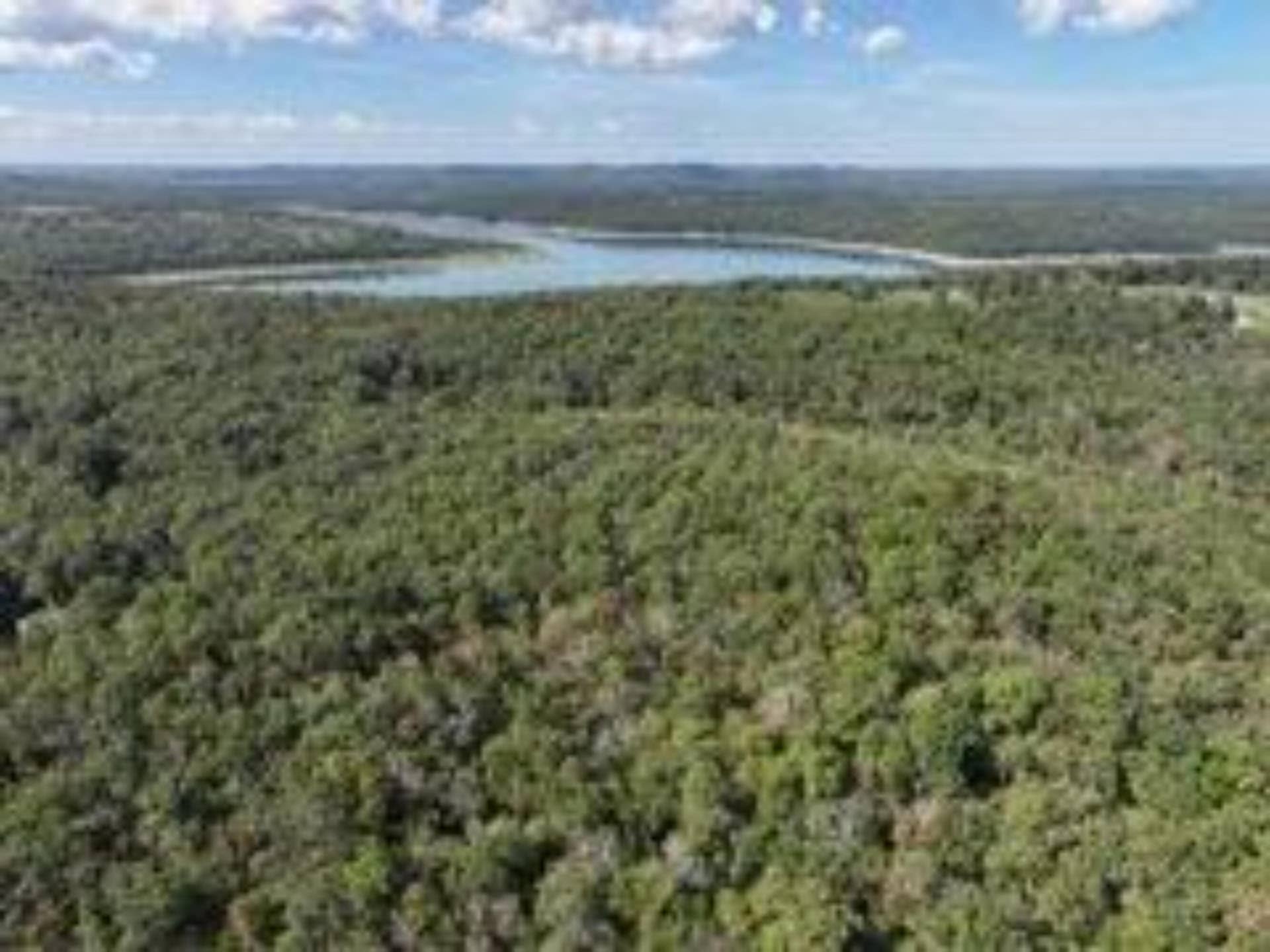 2904 Moark Road, #Lot 7, Cedar Creek, MO 65627 2