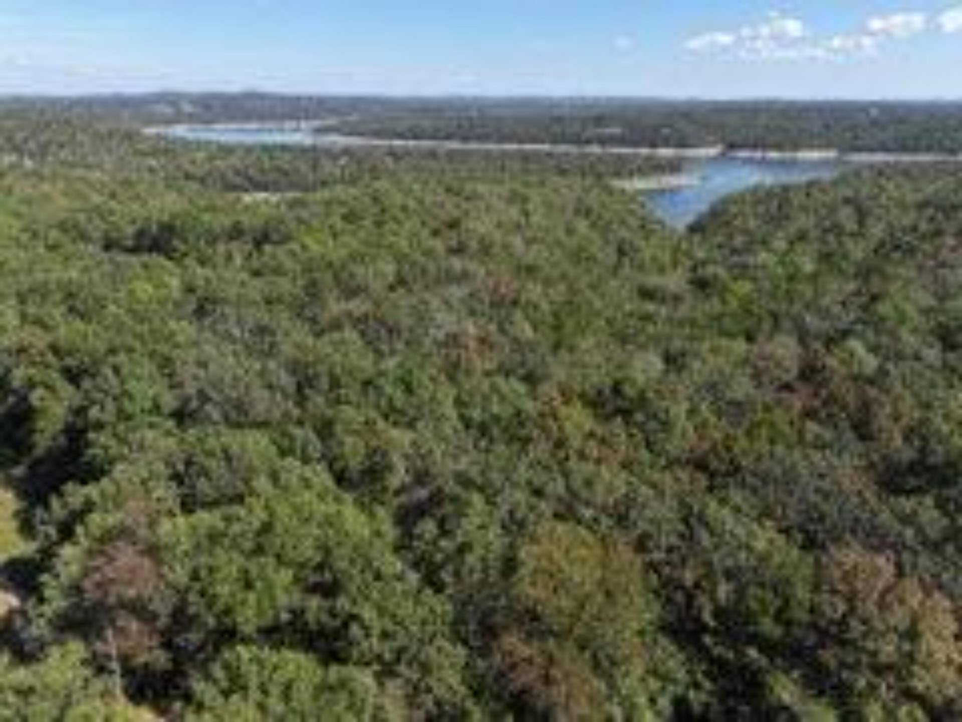 2904 Moark Road, #Lot 7, Cedar Creek, MO 65627 33