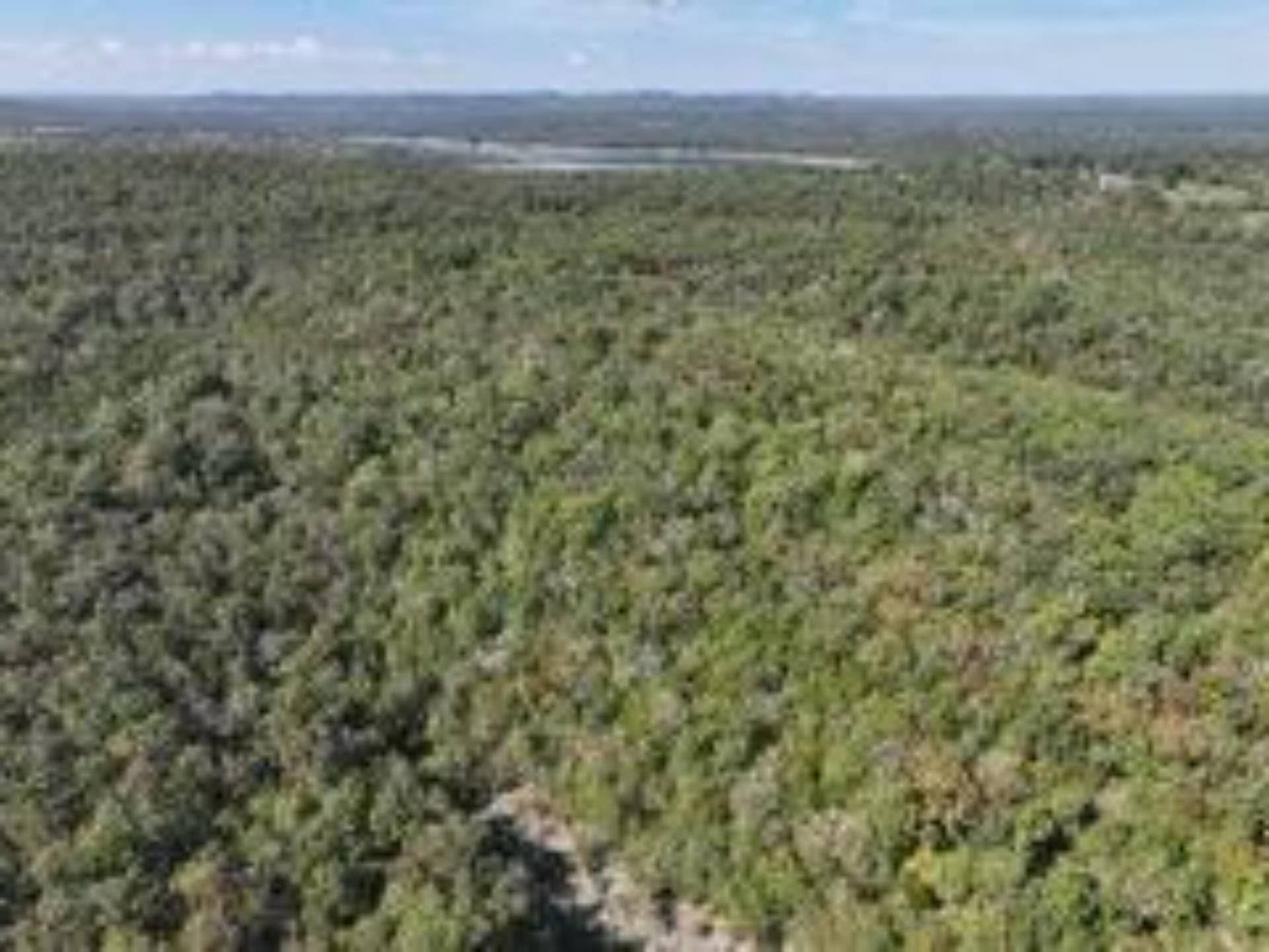 2904 Moark Road, #Lot 7, Cedar Creek, MO 65627 27