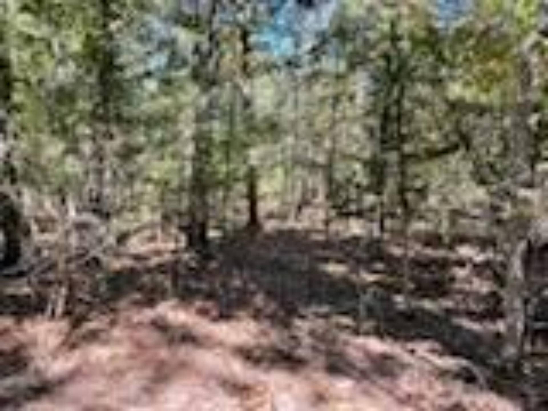 2904 Moark Road, #Lot 7, Cedar Creek, MO 65627 37
