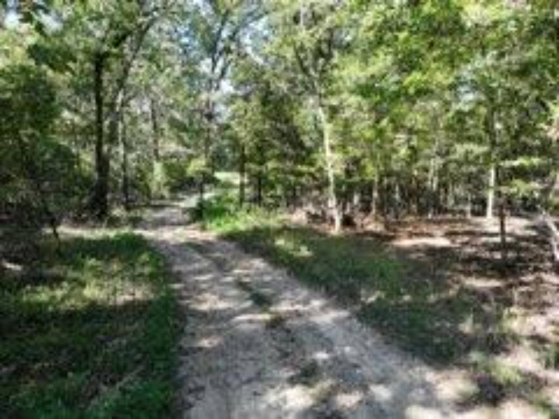 2904 Moark Road, #Lot 7, Cedar Creek, MO 65627 7