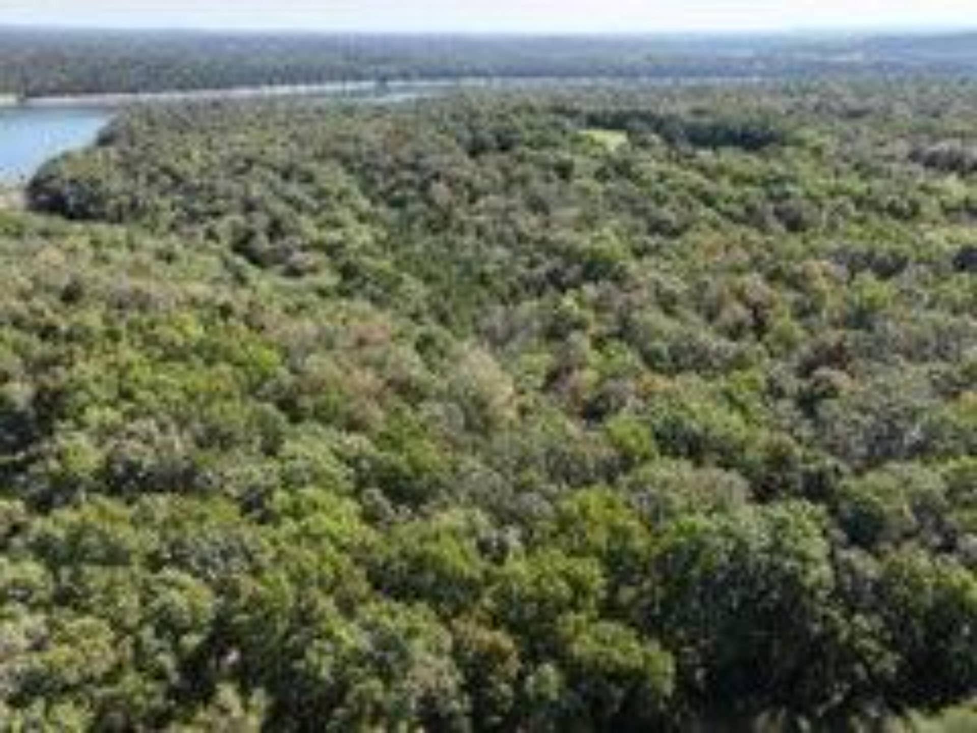2904 Moark Road, #Lot 7, Cedar Creek, MO 65627 31