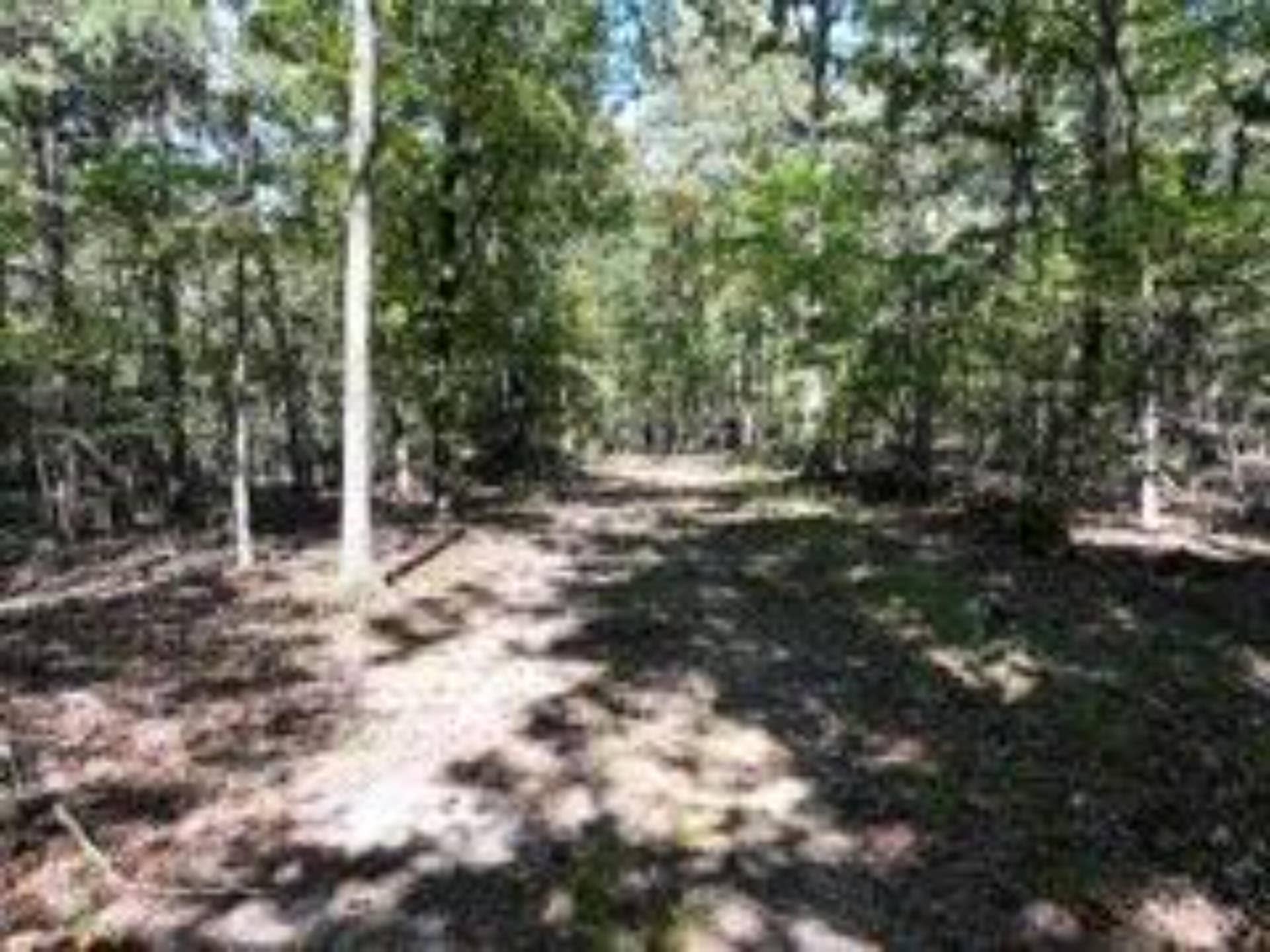 2904 Moark Road, #Lot 7, Cedar Creek, MO 65627 6