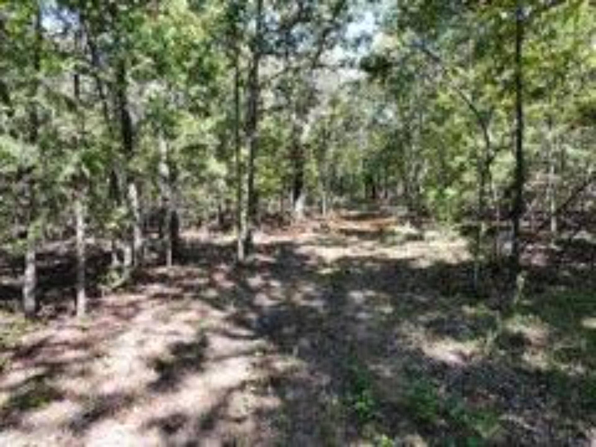 2904 Moark Road, #Lot 7, Cedar Creek, MO 65627 5