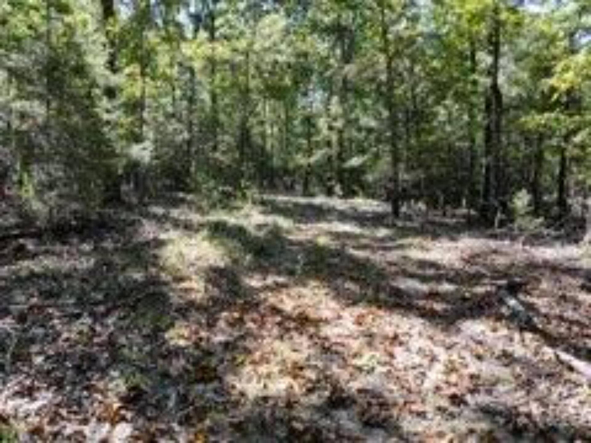2904 Moark Road, #Lot 7, Cedar Creek, MO 65627 9
