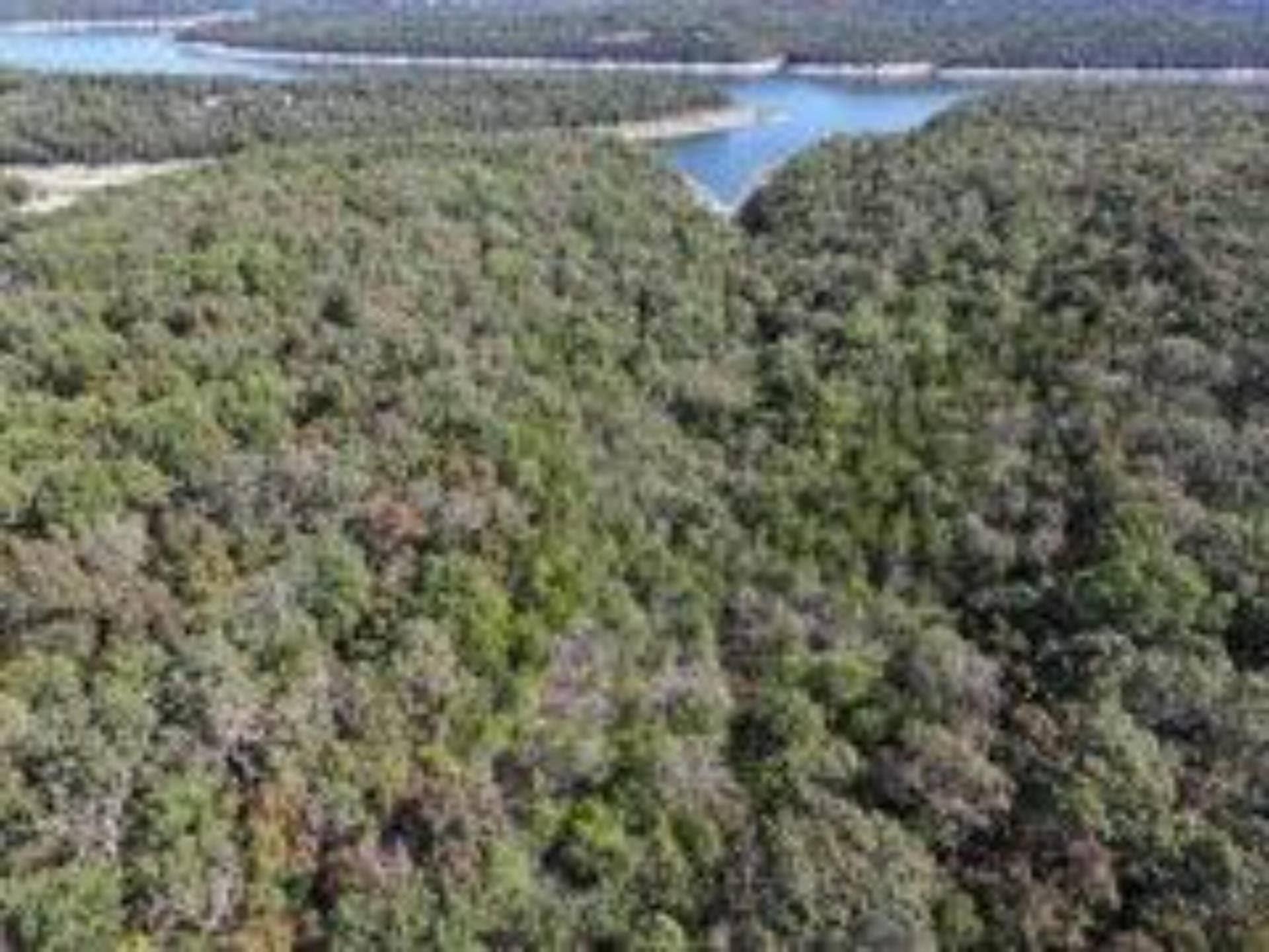 2904 Moark Road, #Lot 7, Cedar Creek, MO 65627 23