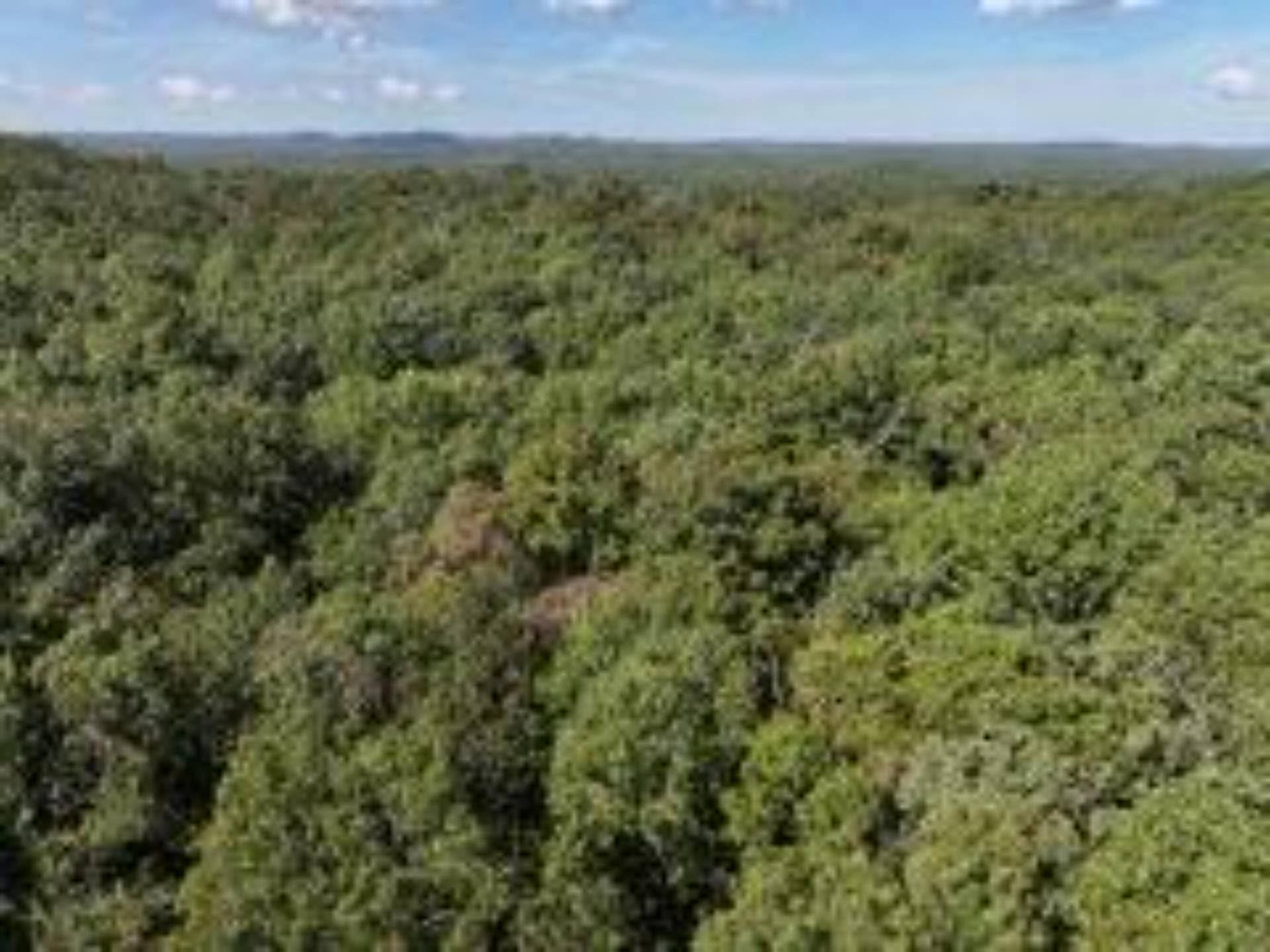 2904 Moark Road, #Lot 7, Cedar Creek, MO 65627 21