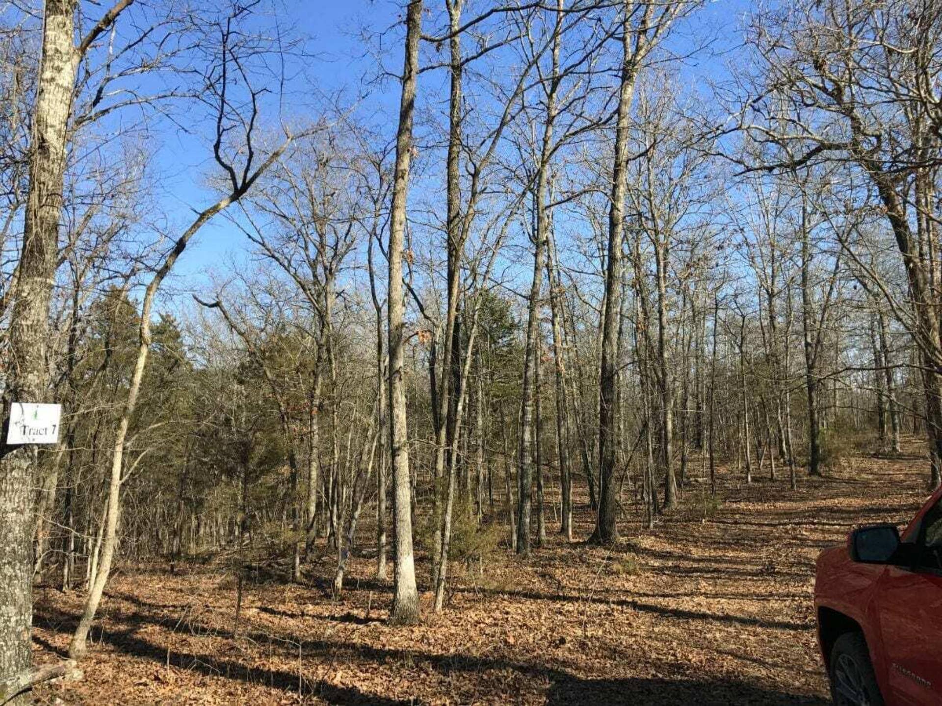 2904 Moark Road, #Lot 7, Cedar Creek, MO 65627 41