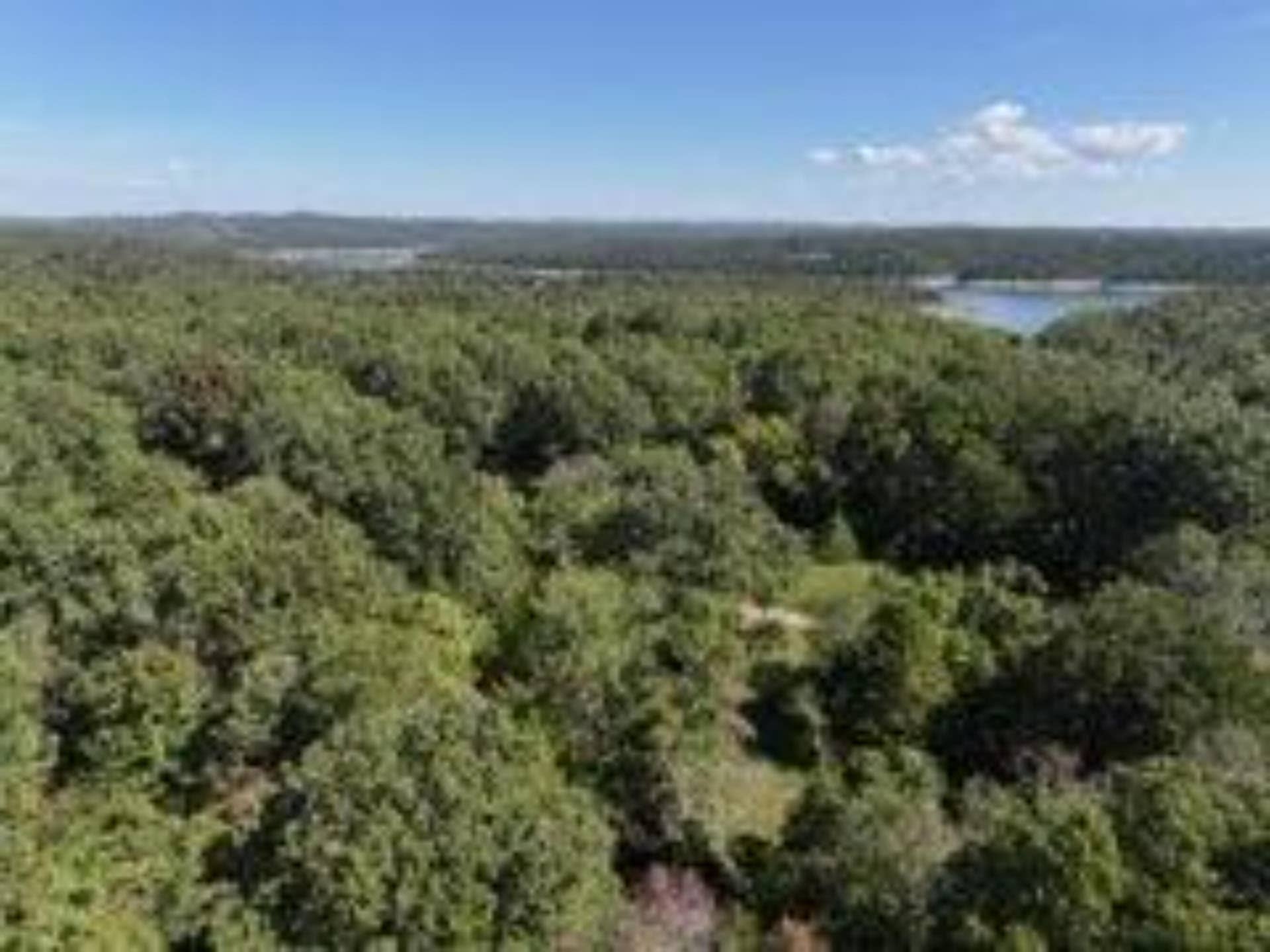 2904 Moark Road, #Lot 7, Cedar Creek, MO 65627 22