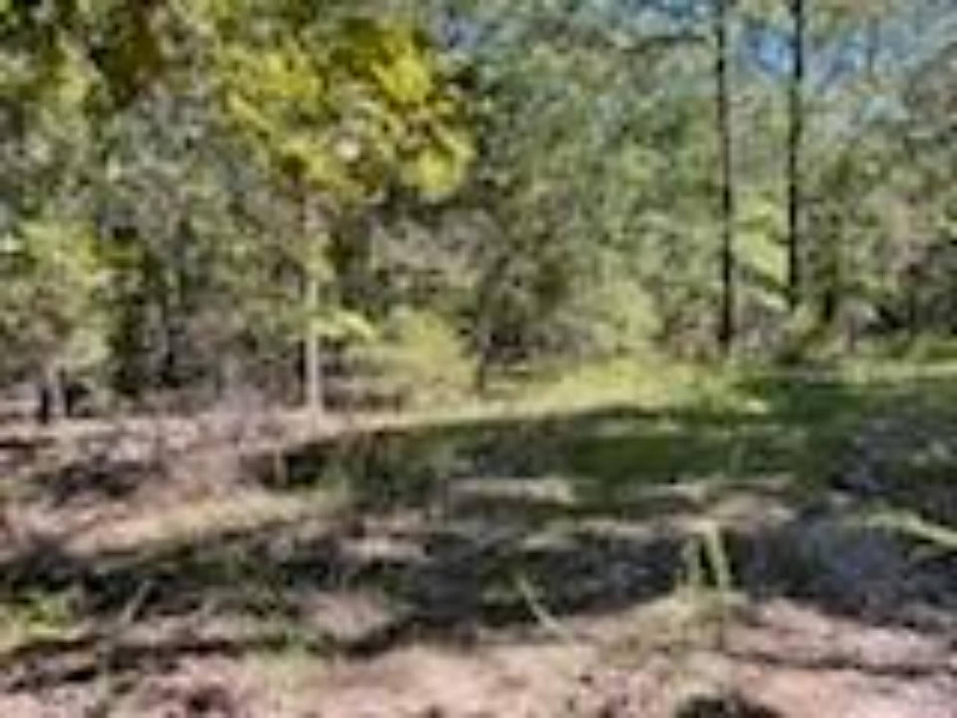 2904 Moark Road, #Lot 7, Cedar Creek, MO 65627 36