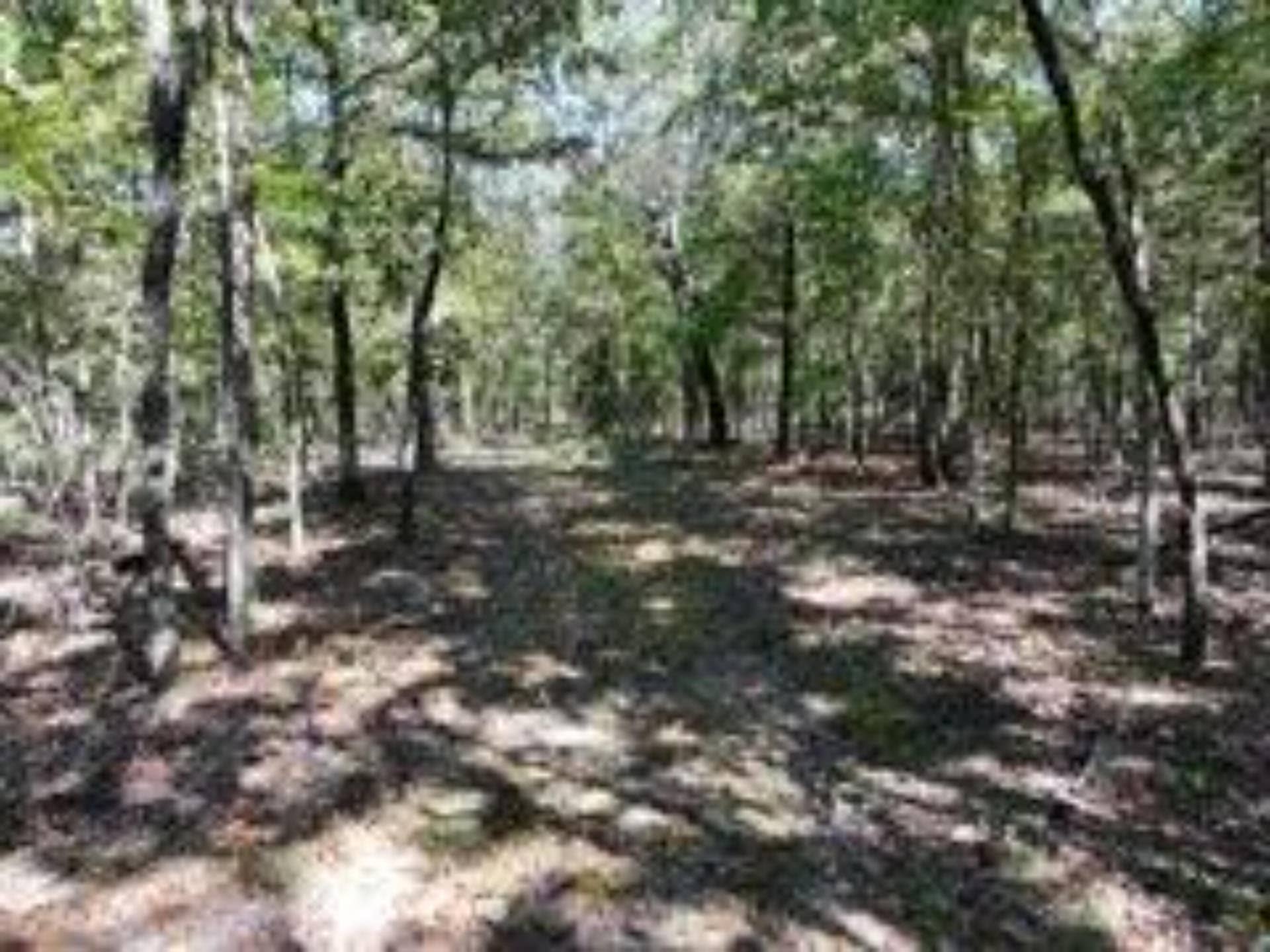 2904 Moark Road, #Lot 7, Cedar Creek, MO 65627 8
