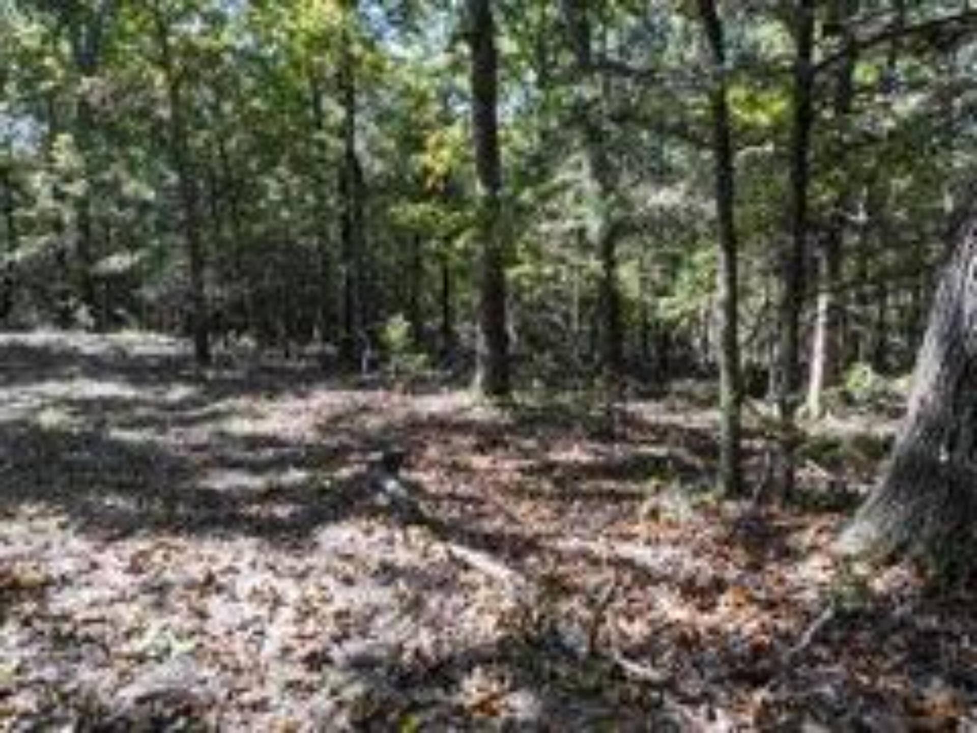 2904 Moark Road, #Lot 7, Cedar Creek, MO 65627 10