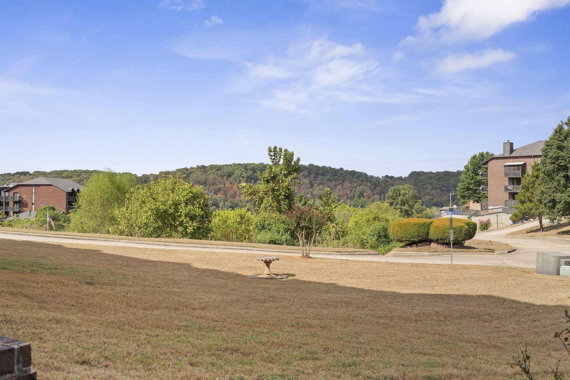 150 Sunken Forest Drive, #171, Forsyth, MO 65653 150 Sunken Forest Drive #171 (41)