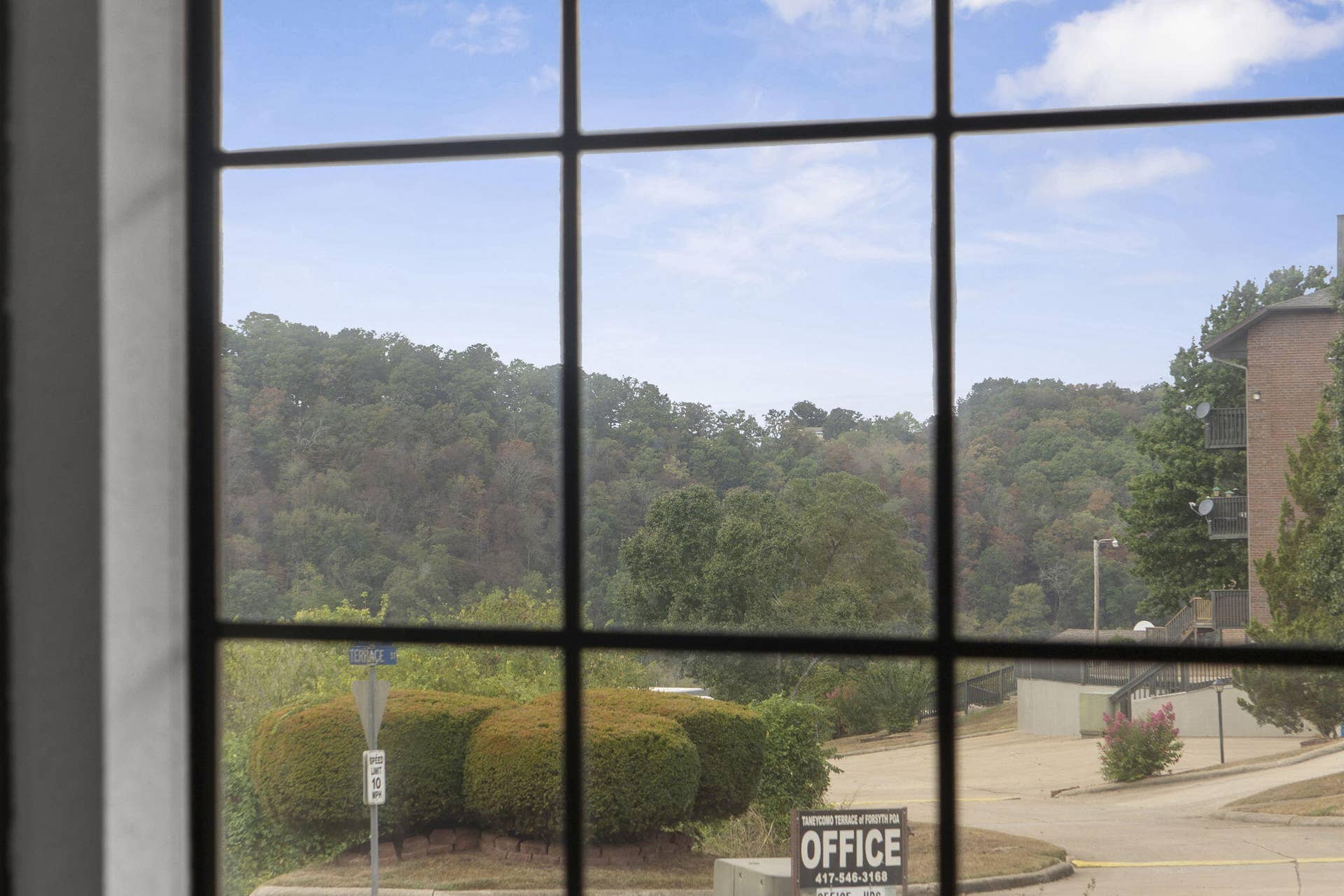 150 Sunken Forest Drive, #171, Forsyth, MO 65653 150 Sunken Forest Drive #171 (9)