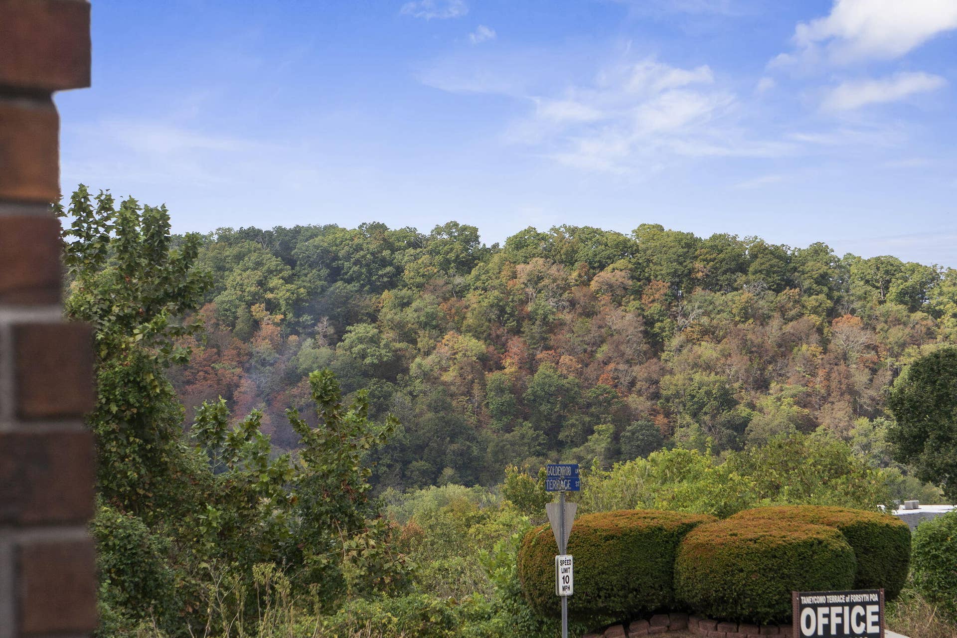 150 Sunken Forest Drive, #171, Forsyth, MO 65653 150 Sunken Forest Drive #171 (43)