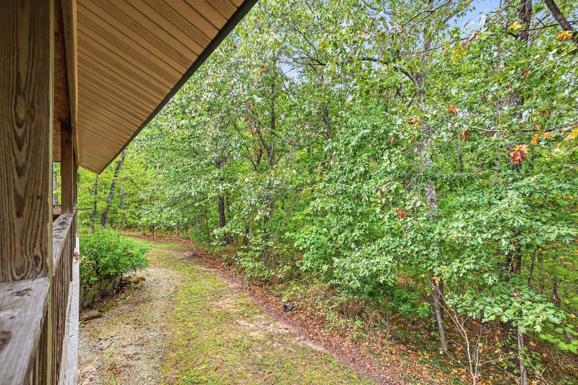 261 Wintergrape Lane, Rogersville, MO 65742 37-Wintergrape_Ln_036