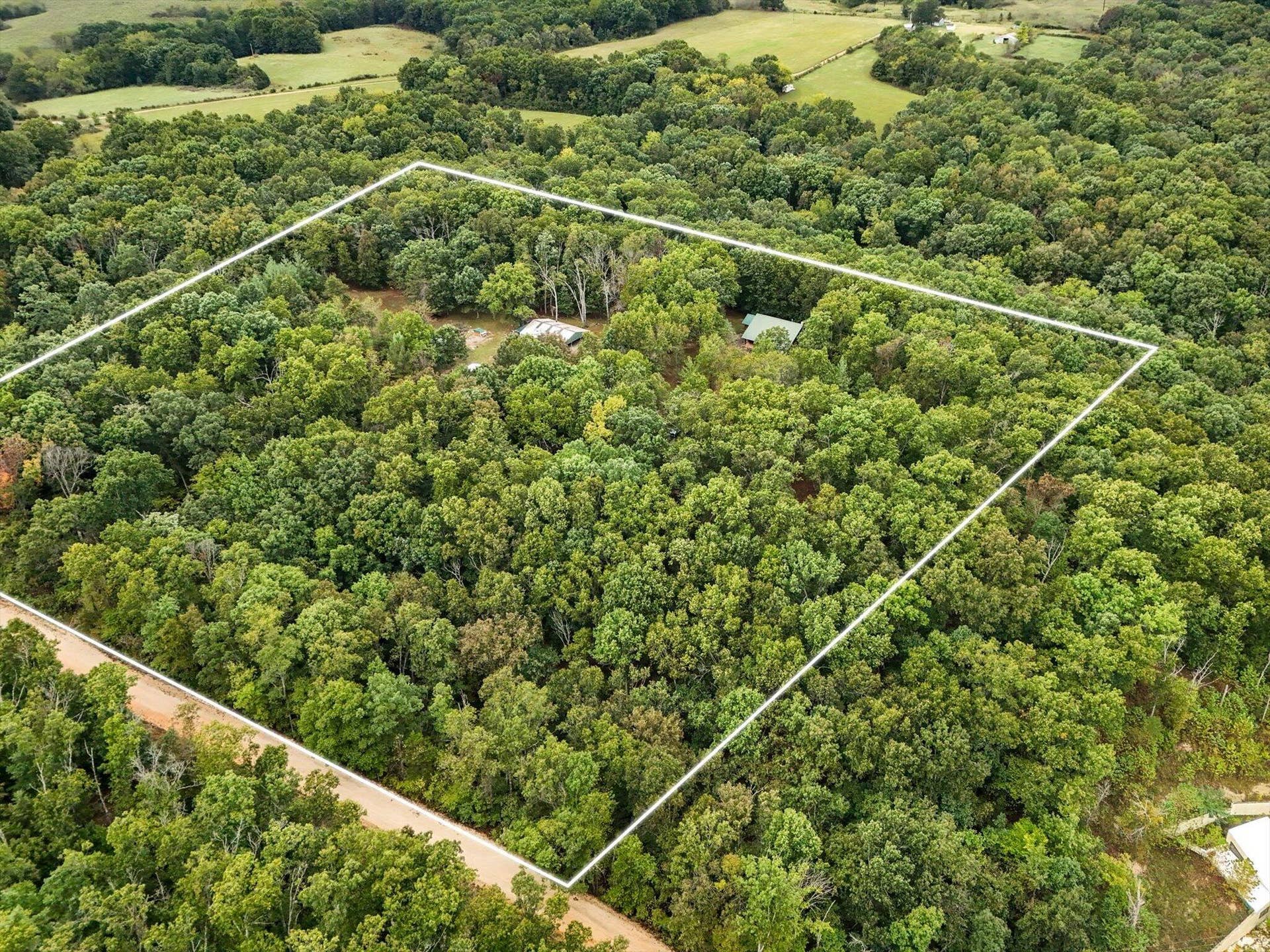 261 Wintergrape Lane, Rogersville, MO 65742 51-aerials-4-Edit