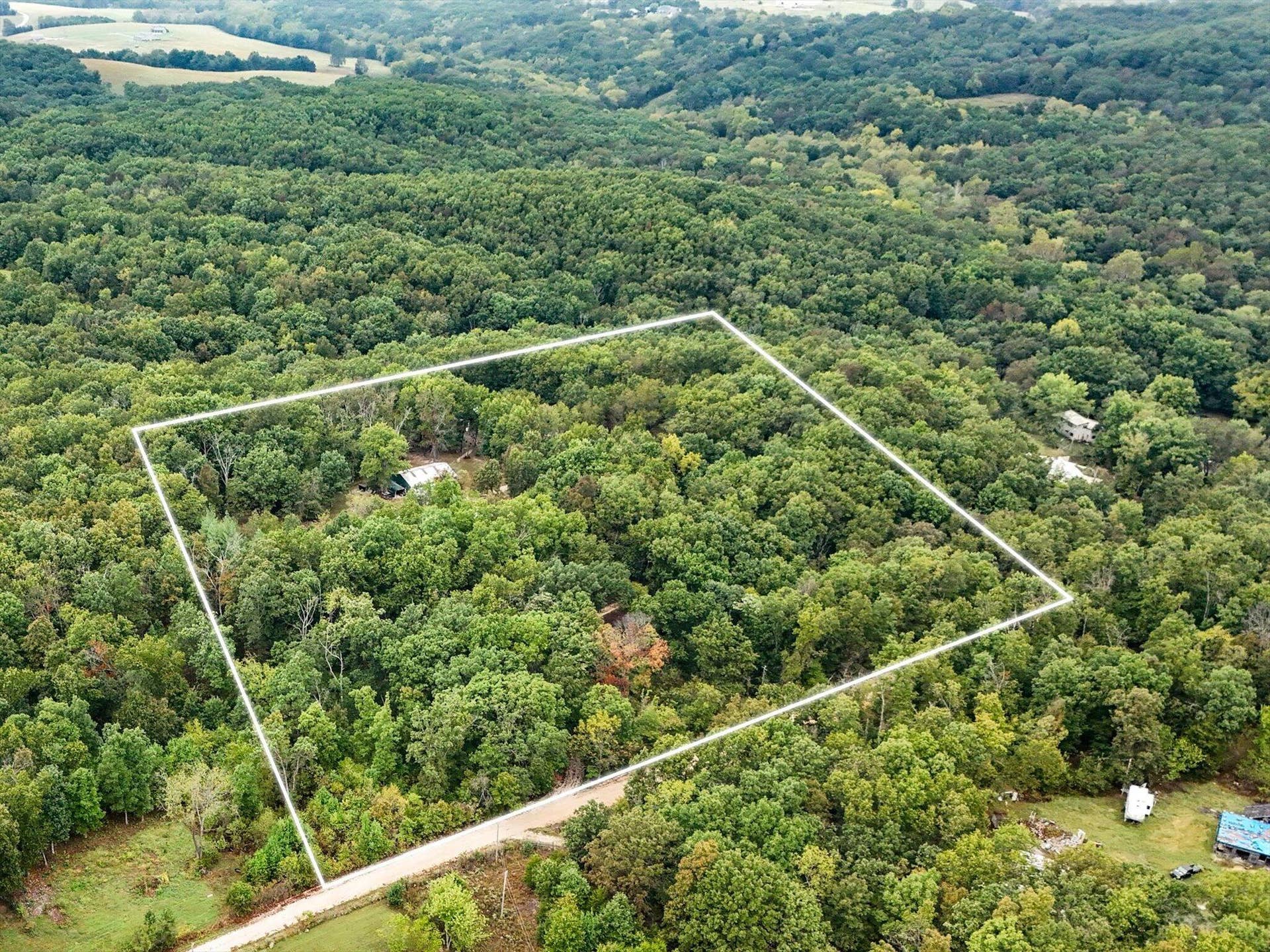 261 Wintergrape Lane, Rogersville, MO 65742 53-aerials-6-Edit