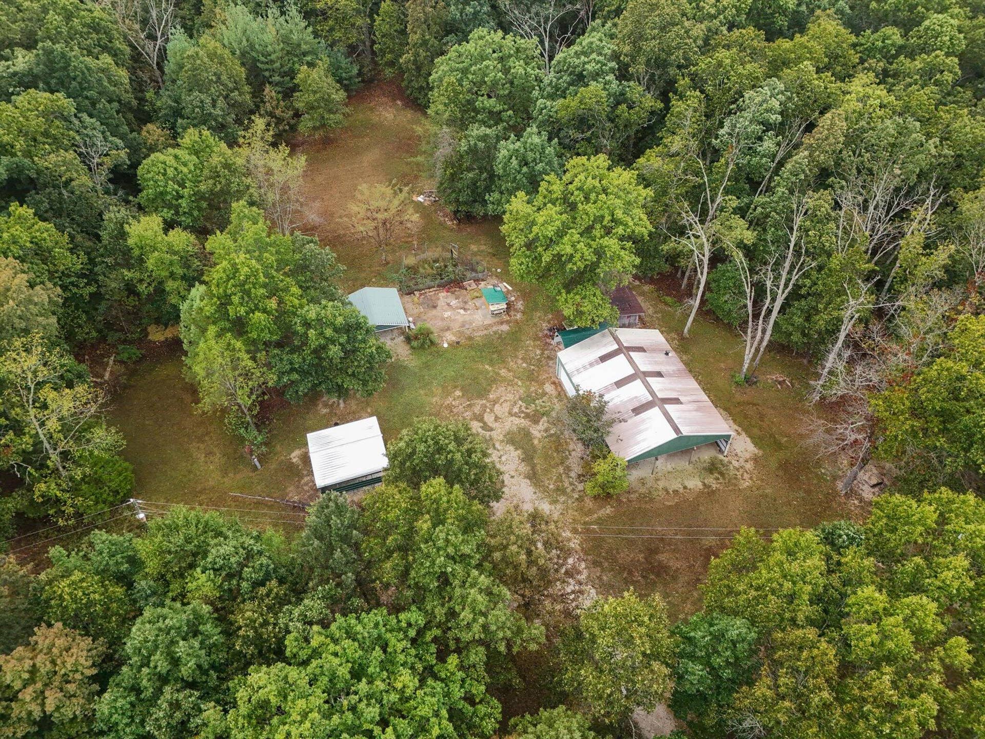 261 Wintergrape Lane, Rogersville, MO 65742 50-aerials-2