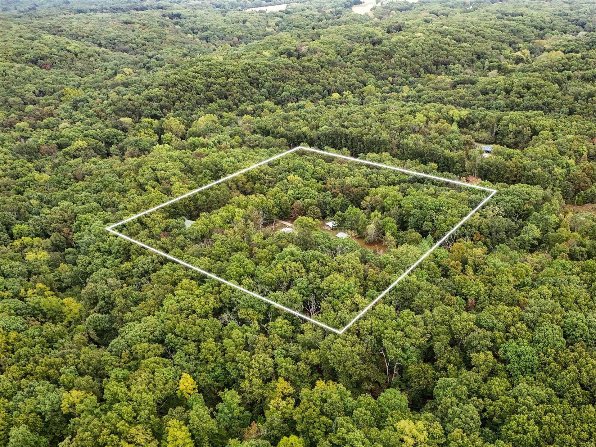 261 Wintergrape Lane, Rogersville, MO 65742 54-aerials-5-Edit