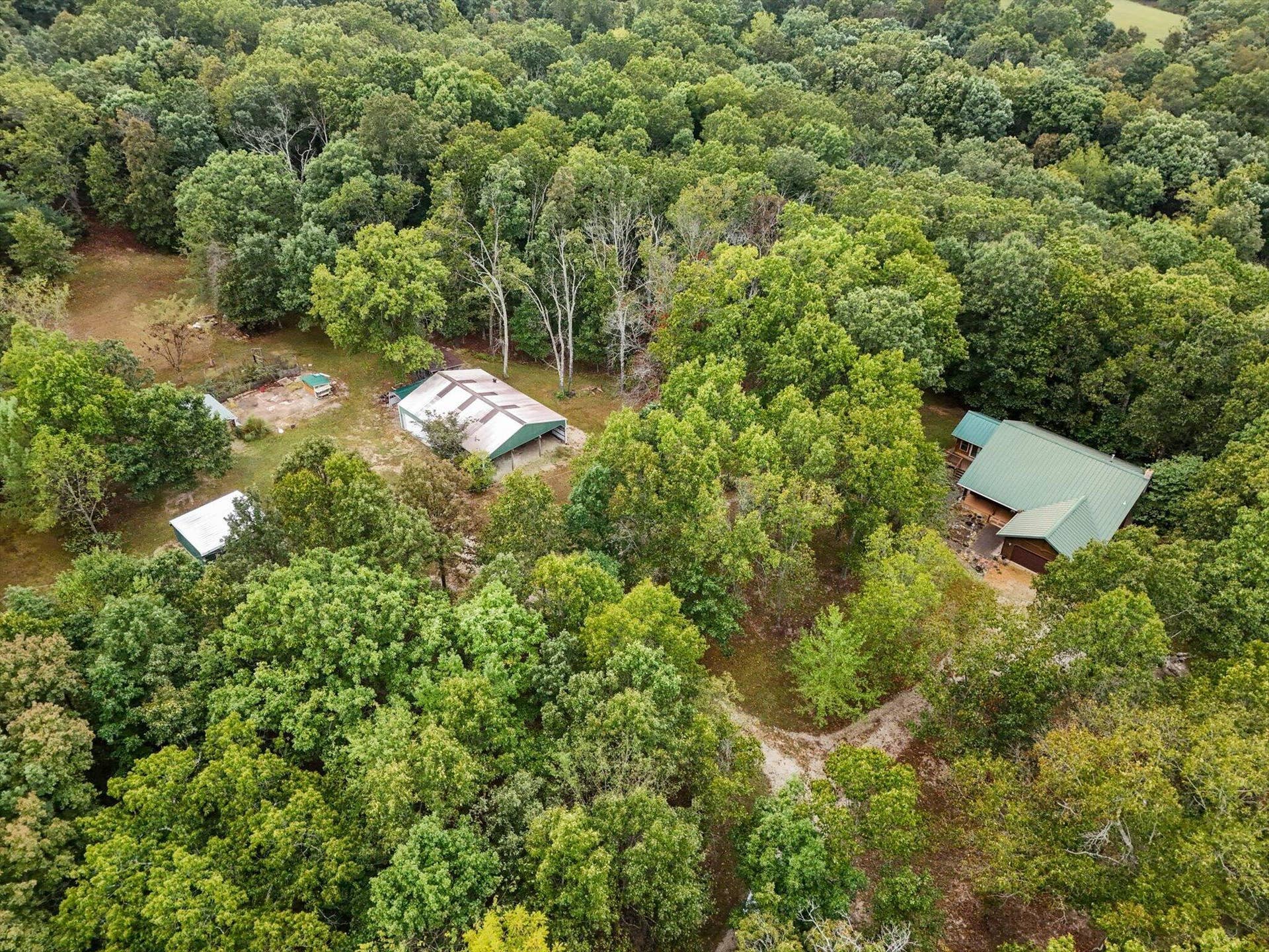 261 Wintergrape Lane, Rogersville, MO 65742 49-aerials