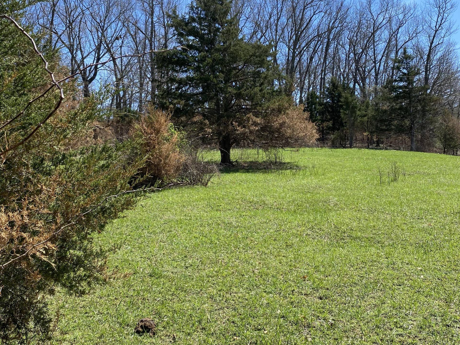 64a