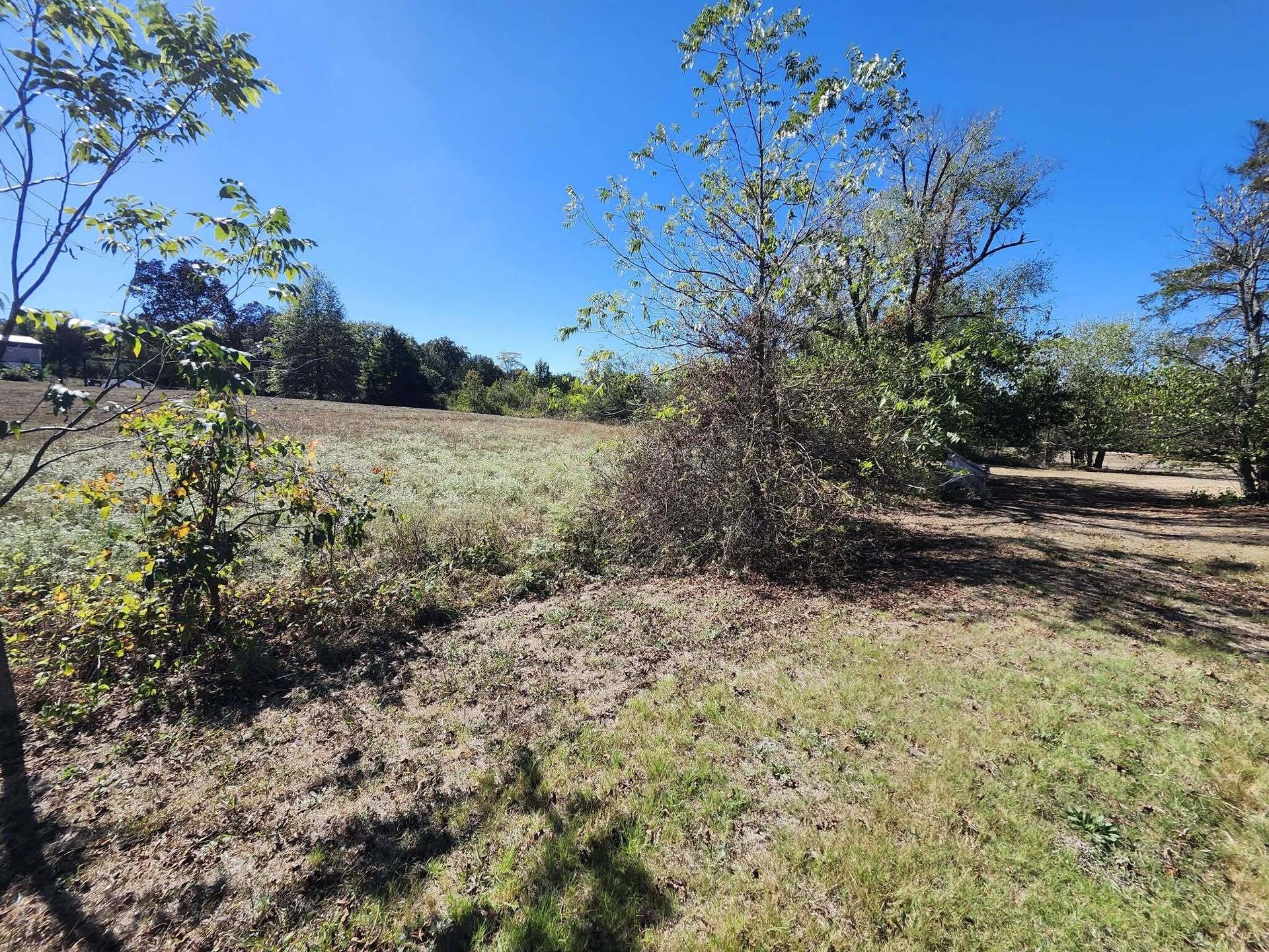 10090 Sunshine Drive, Mountain Grove, MO 65711 Messenger_creation_1AF77E15-32BD-4A15-BC