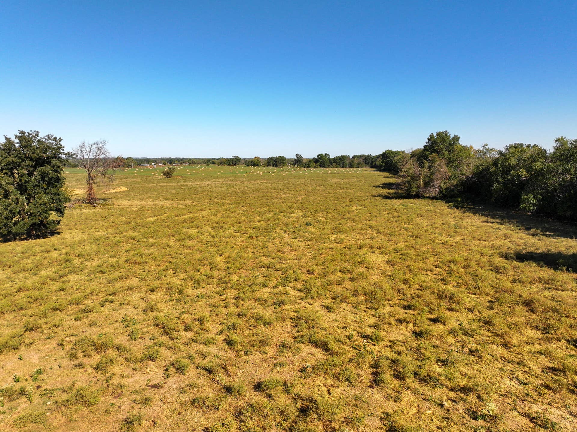 1460 Sw Hw 1460 Sw Hwy H, Appleton City, MO 64724 DJI_20261004001848_0864_D