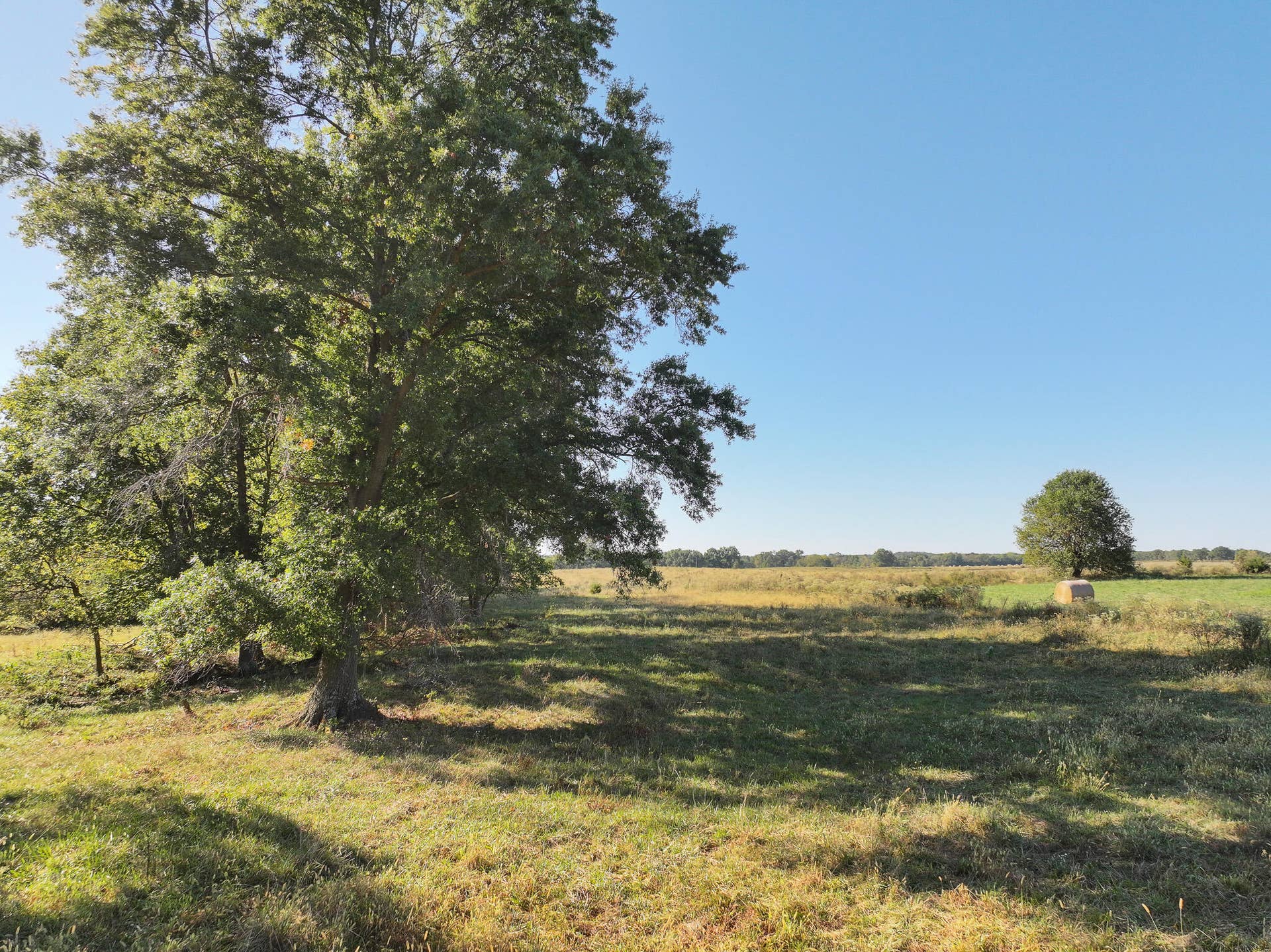 1460 Sw Hw 1460 Sw Hwy H, Appleton City, MO 64724 DJI_20261003232821_0855_D