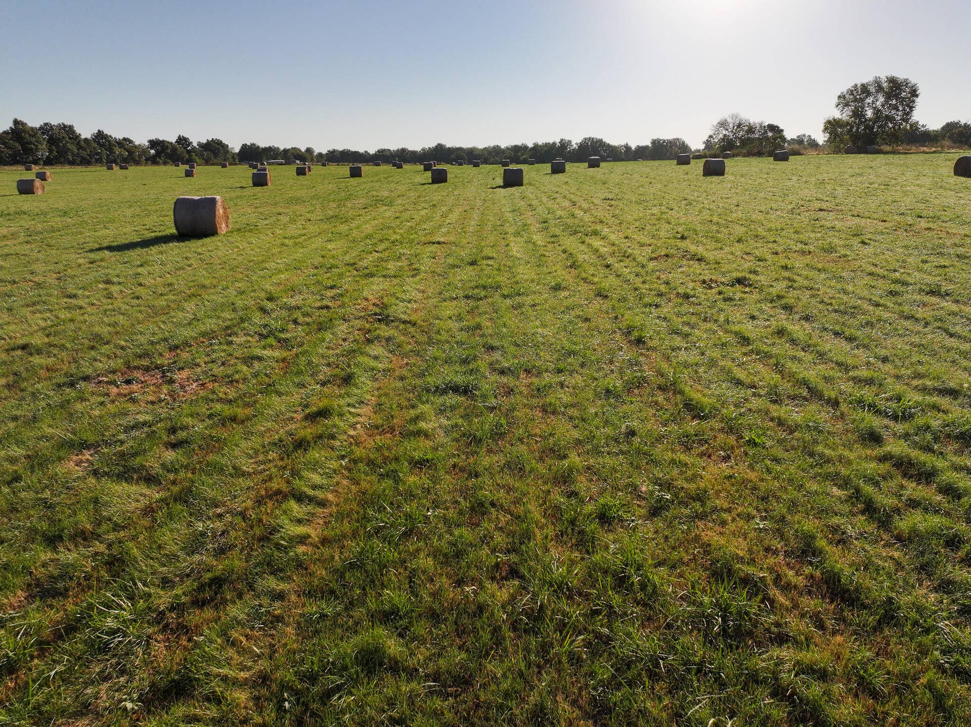 1460 Sw Hw 1460 Sw Hwy H, Appleton City, MO 64724 DJI_20261004215357_0808_D
