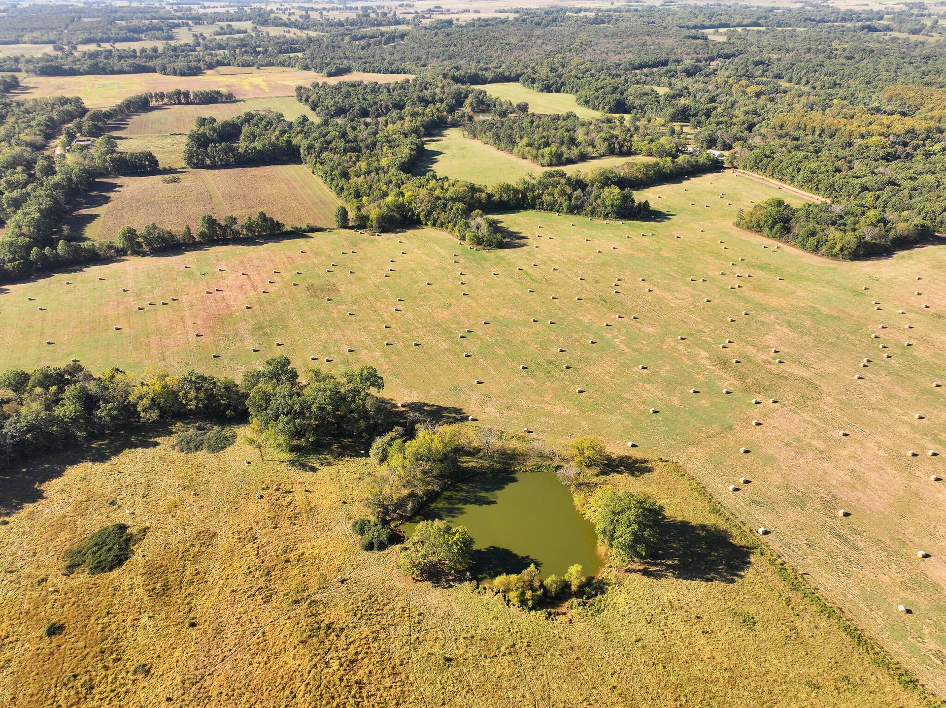 1460 Sw Hw 1460 Sw Hwy H, Appleton City, MO 64724 DJI_20261003231942_0837_D