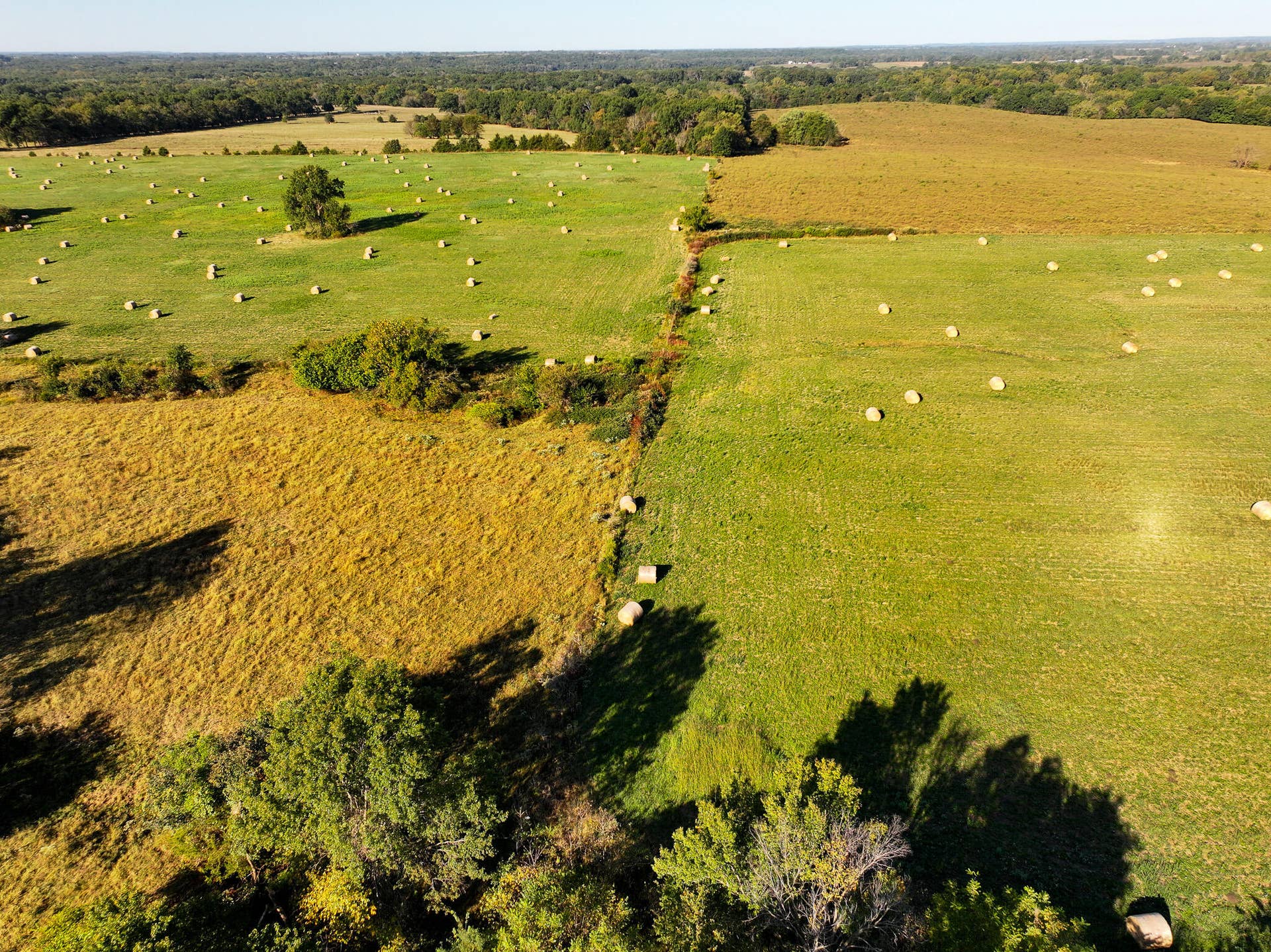 1460 Sw Hw 1460 Sw Hwy H, Appleton City, MO 64724 DJI_20261003230415_0823_D