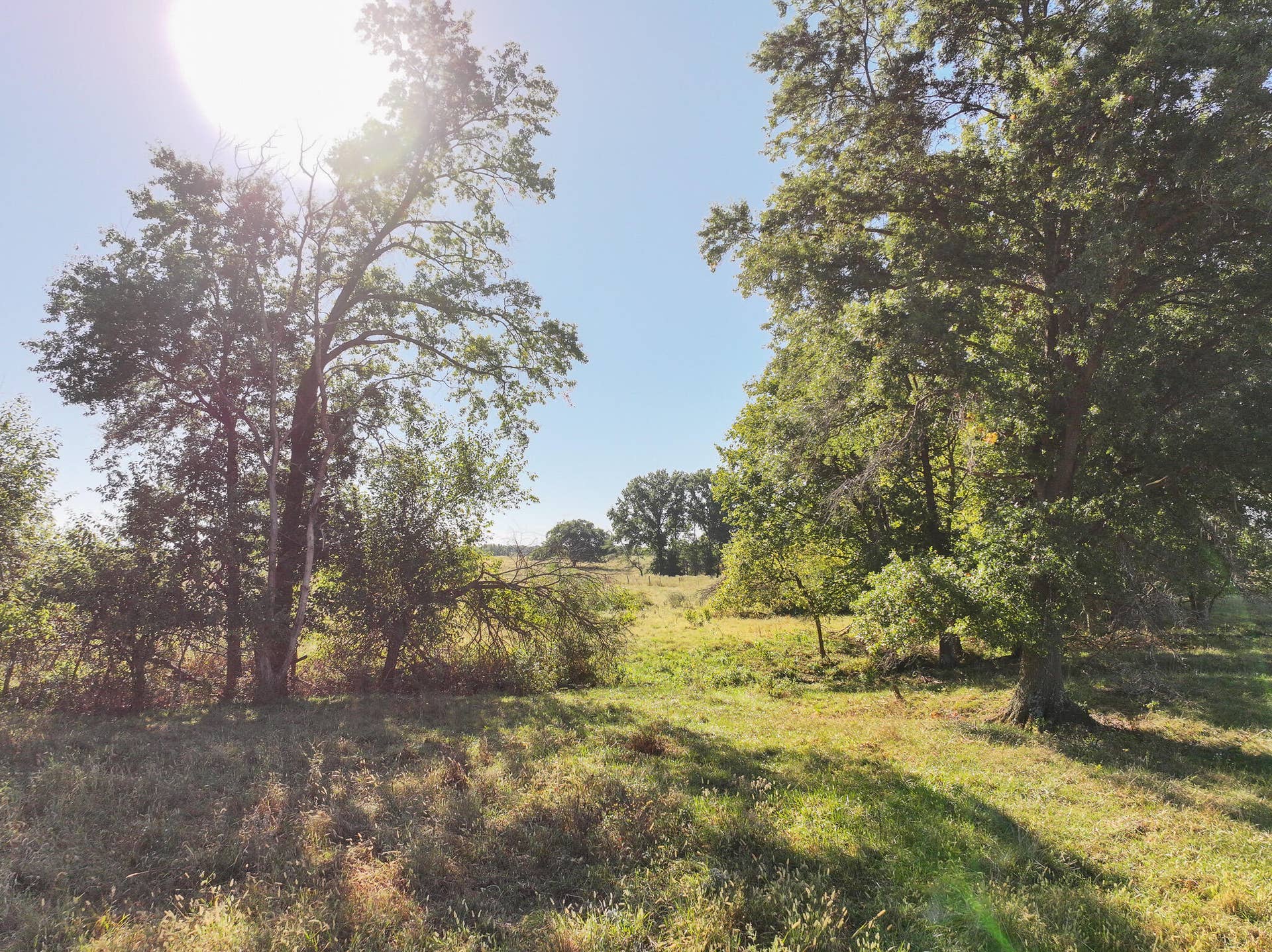 1460 Sw Hw 1460 Sw Hwy H, Appleton City, MO 64724 DJI_20261003232819_0854_D