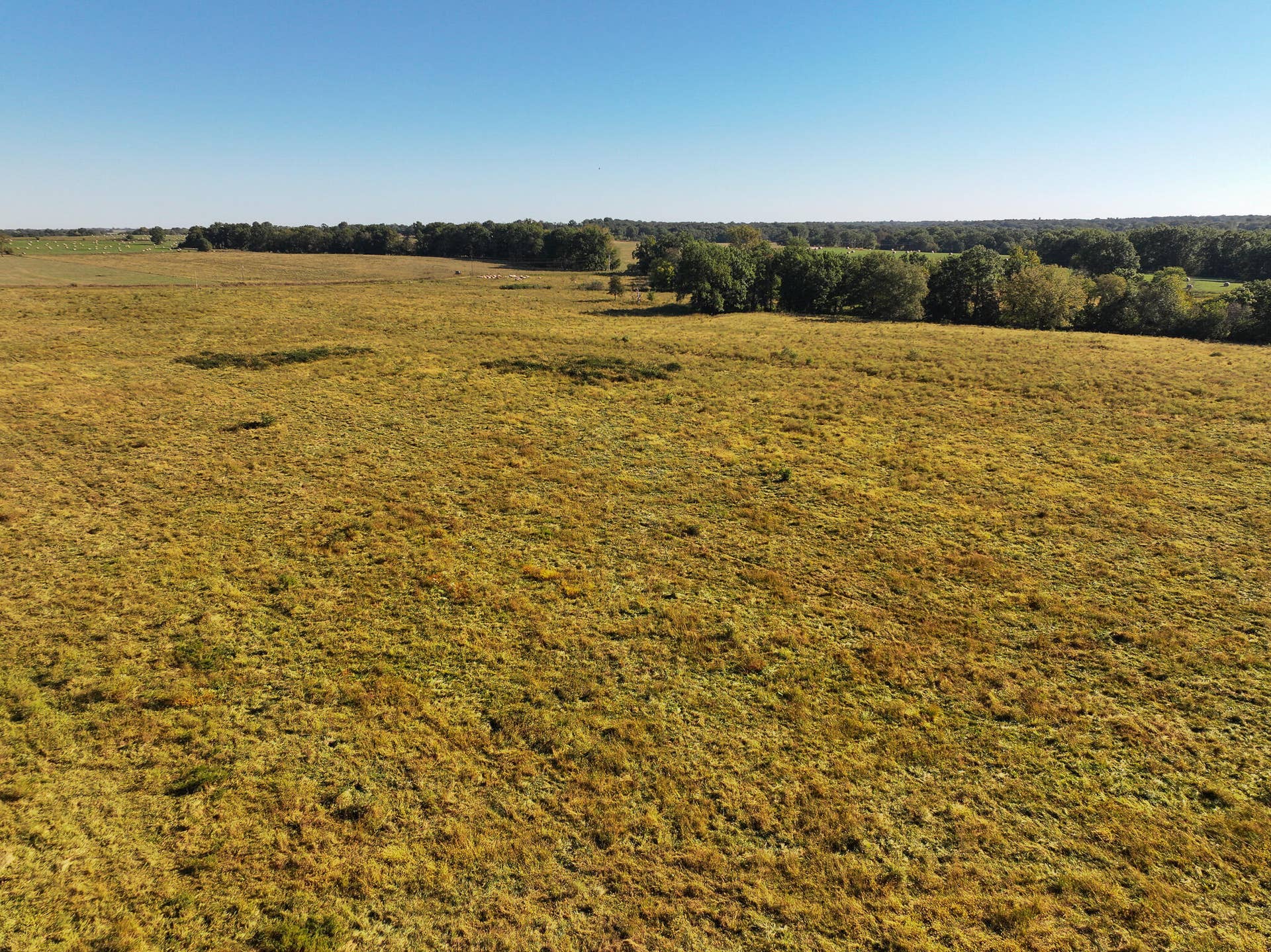 1460 Sw Hw 1460 Sw Hwy H, Appleton City, MO 64724 DJI_20261003232332_0844_D