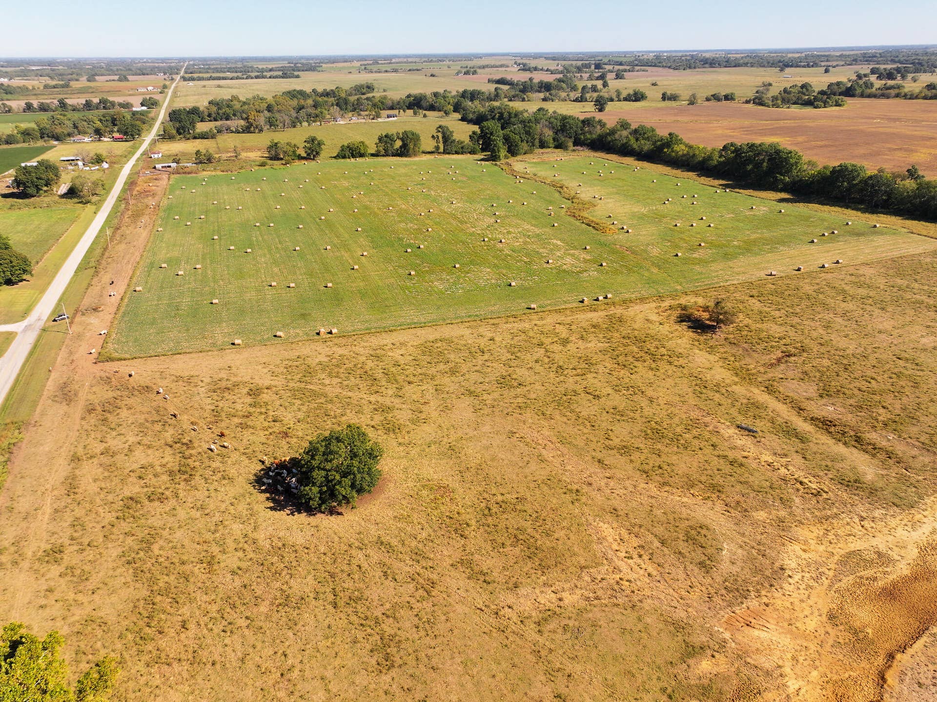 1460 Sw Hw 1460 Sw Hwy H, Appleton City, MO 64724 DJI_20261004002057_0868_D