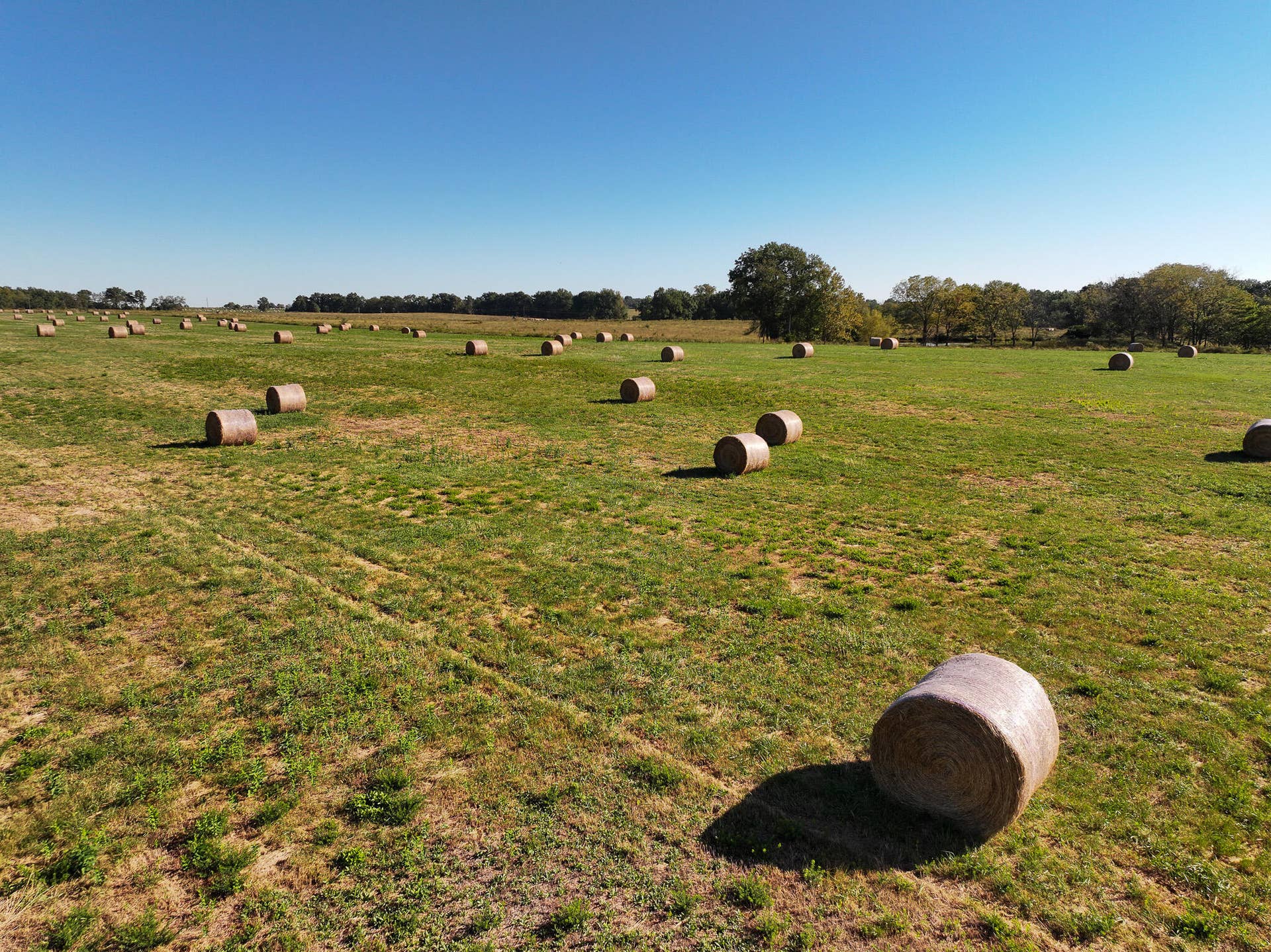 1460 Sw Hw 1460 Sw Hwy H, Appleton City, MO 64724 DJI_20261003232209_0842_D
