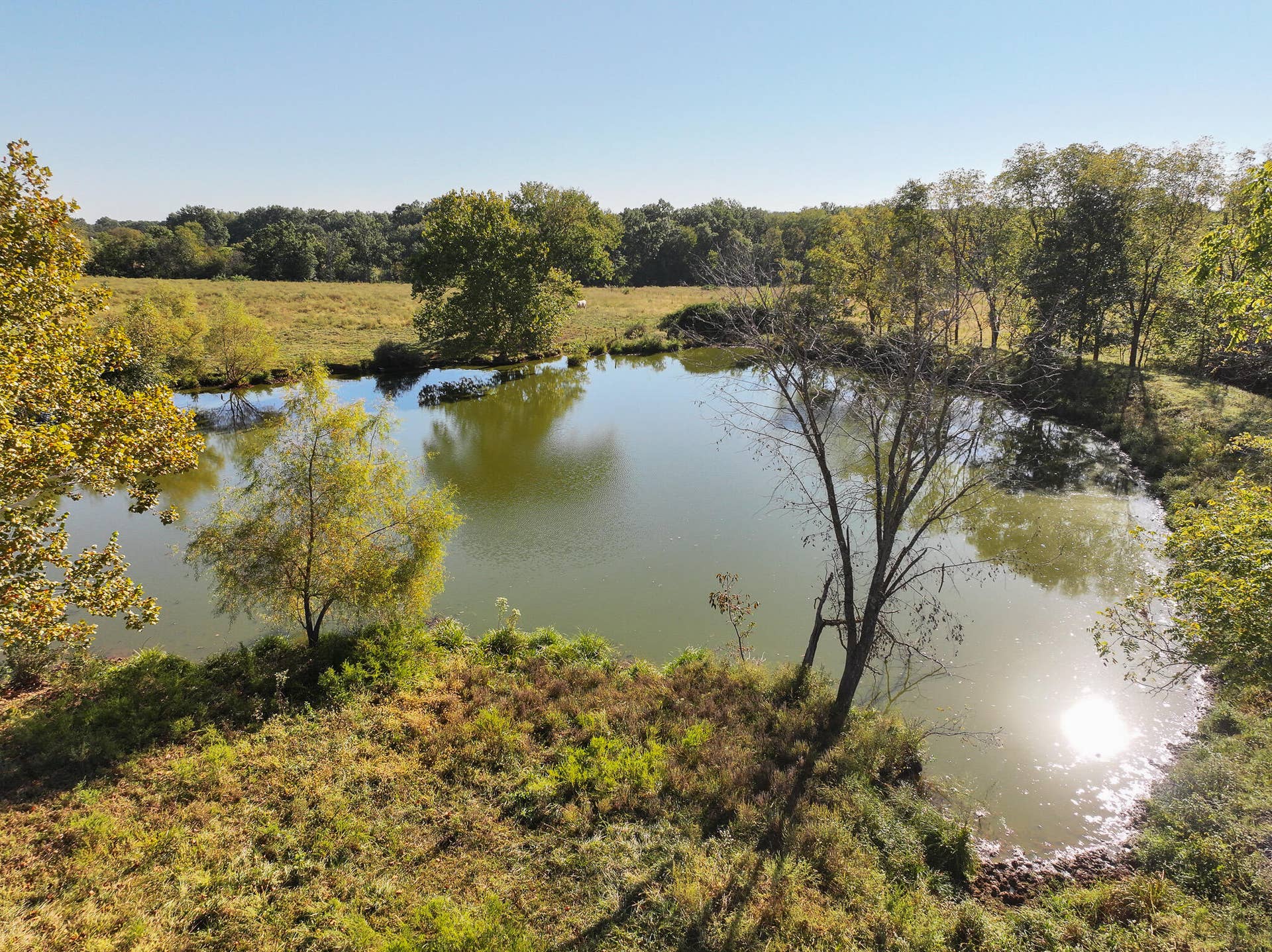 1460 Sw Hw 1460 Sw Hwy H, Appleton City, MO 64724 DJI_20261003232237_0843_D