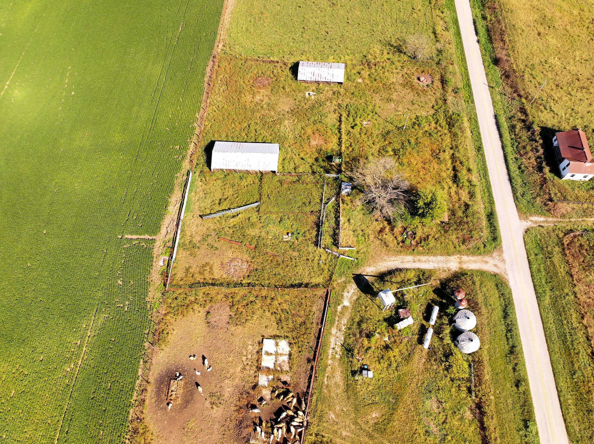 1460 Sw Hw 1460 Sw Hwy H, Appleton City, MO 64724 DJI_20261004002203_0869_D