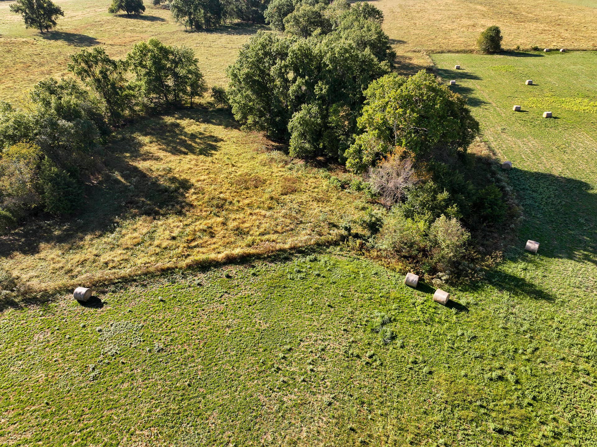 1460 Sw Hw 1460 Sw Hwy H, Appleton City, MO 64724 DJI_20261003230630_0827_D