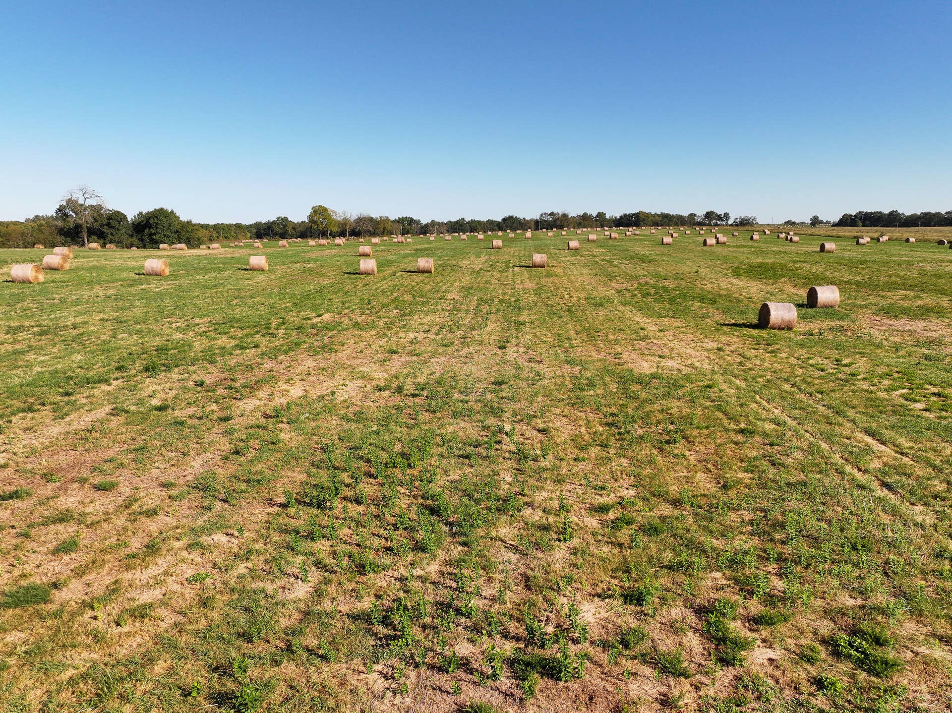 1460 Sw Hw 1460 Sw Hwy H, Appleton City, MO 64724 DJI_20261003232200_0839_D