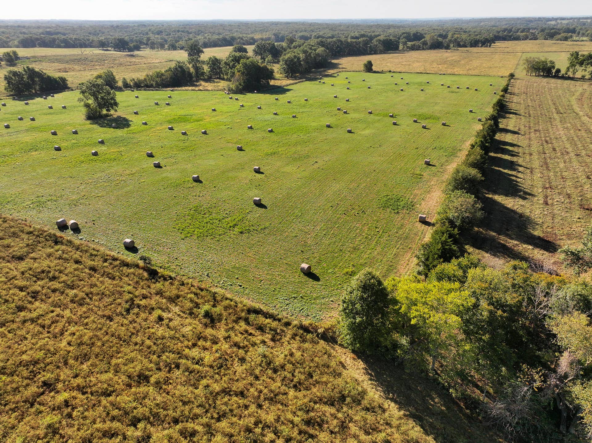 1460 Sw Hw 1460 Sw Hwy H, Appleton City, MO 64724 DJI_20261003230535_0826_D