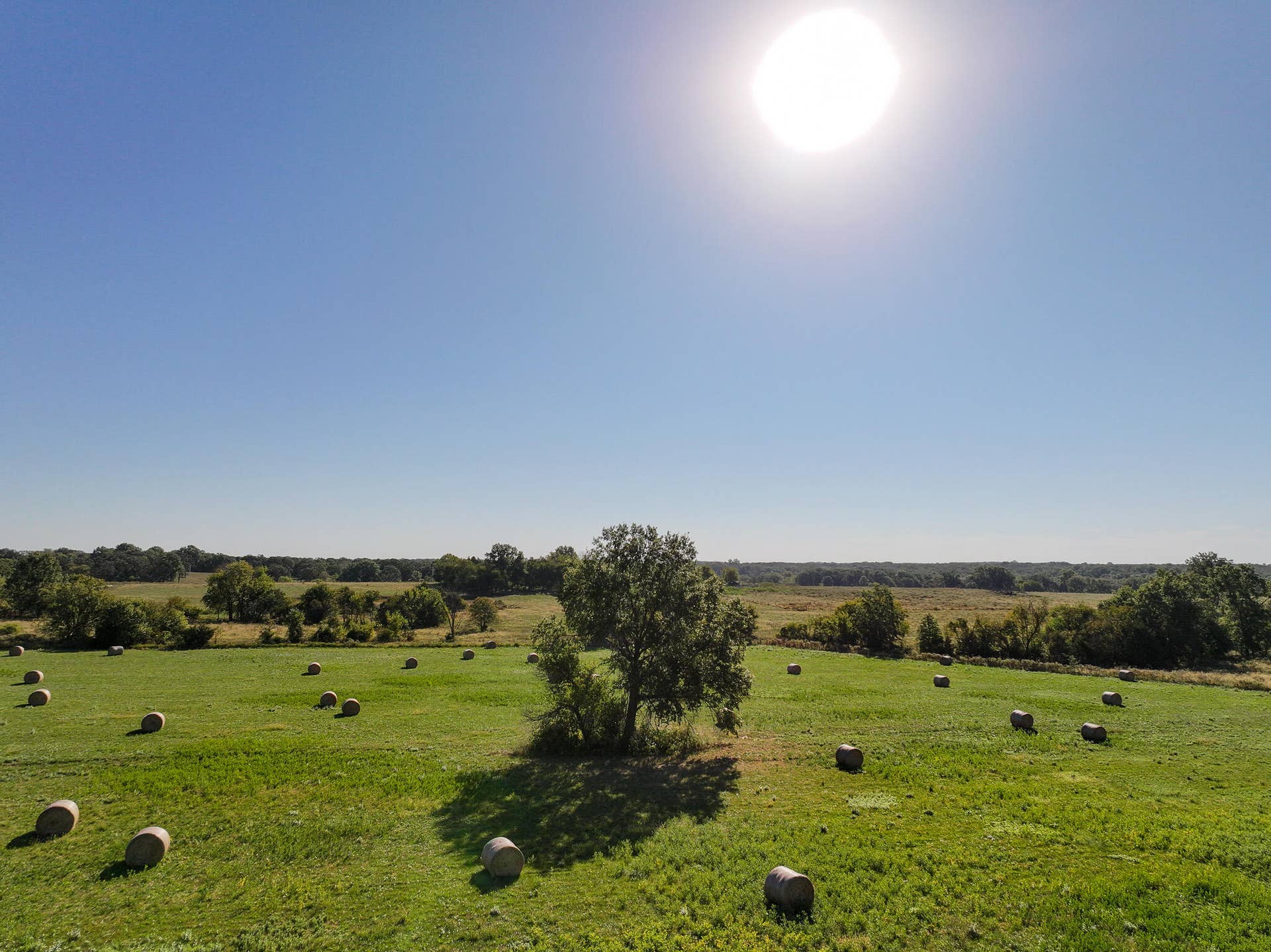1460 Sw Hw 1460 Sw Hwy H, Appleton City, MO 64724 DJI_20261003232849_0856_D