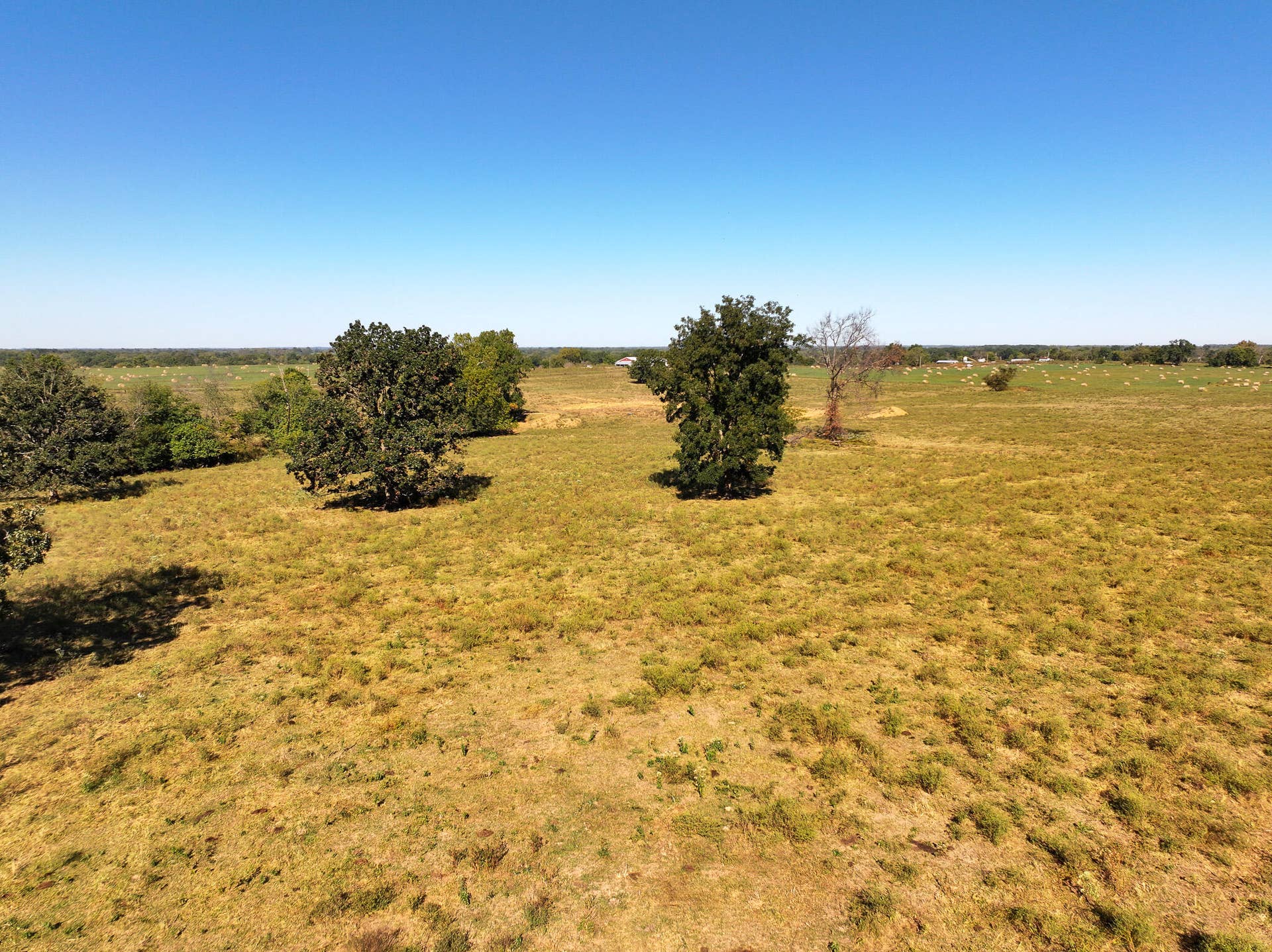 1460 Sw Hw 1460 Sw Hwy H, Appleton City, MO 64724 DJI_20261004001847_0863_D
