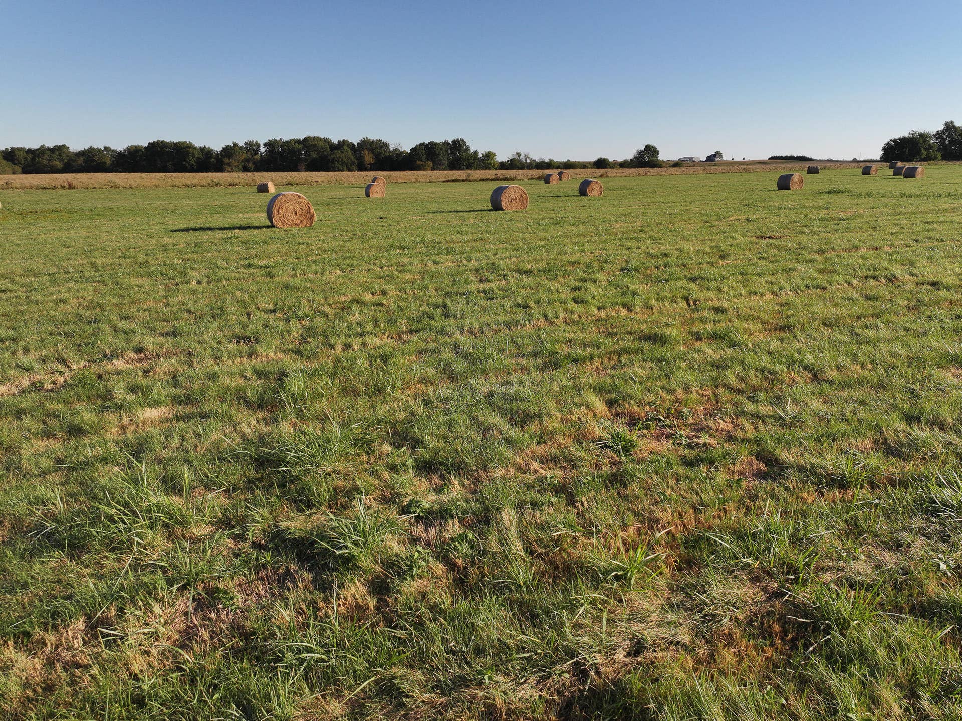 1460 Sw Hw 1460 Sw Hwy H, Appleton City, MO 64724 DJI_20261004215406_0810_D