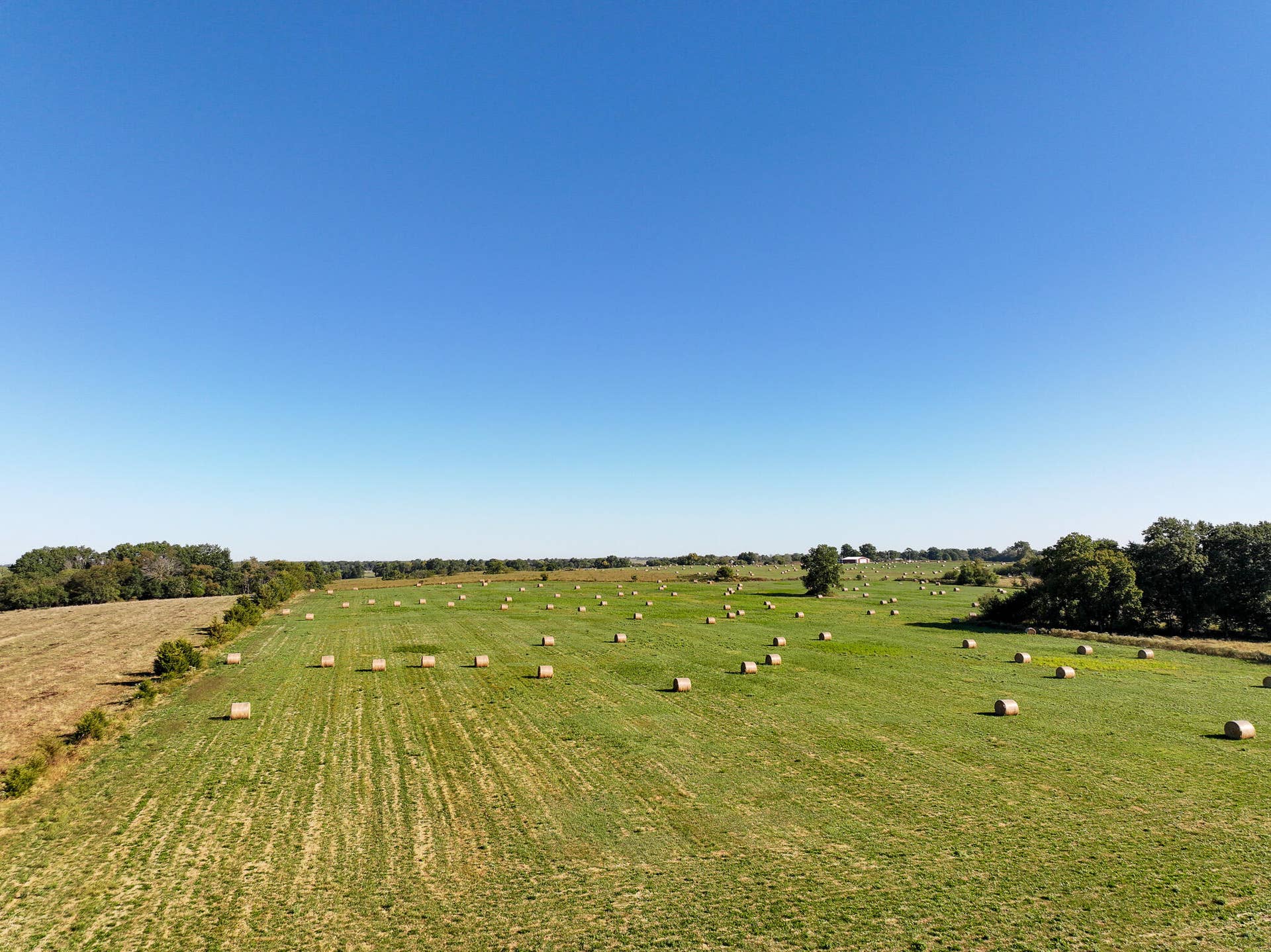 1460 Sw Hw 1460 Sw Hwy H, Appleton City, MO 64724 DJI_20261003232752_0853_D