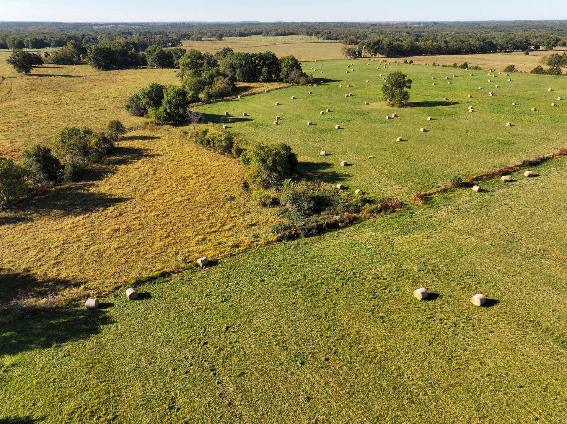 1460 Sw Hw 1460 Sw Hwy H, Appleton City, MO 64724 DJI_20261003230452_0825_D